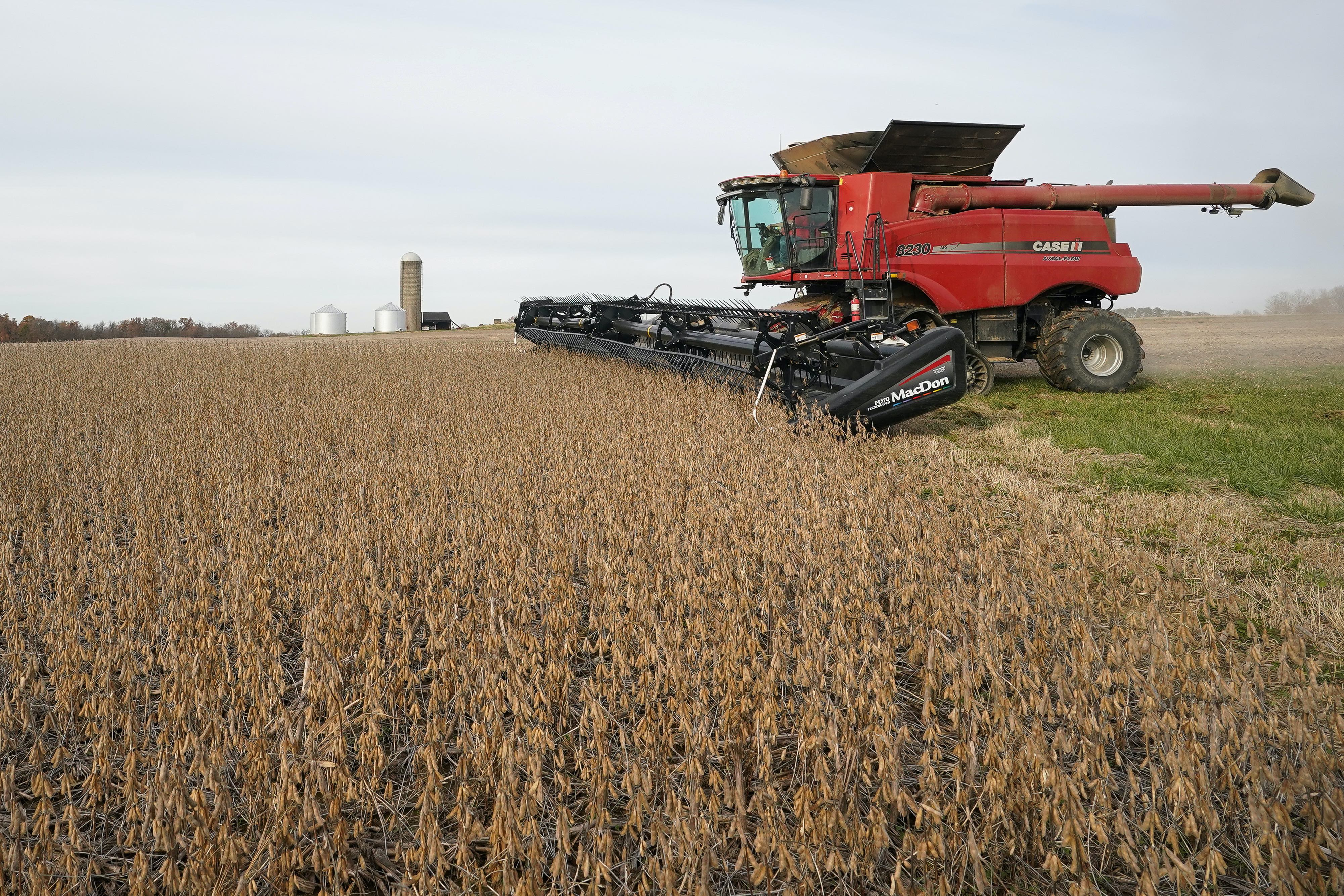 Soybeans being harvested in Indiana. In the US, some farm states were slammed when Beijing suspended imports of soybeans and raised tariffs on pork and other goods