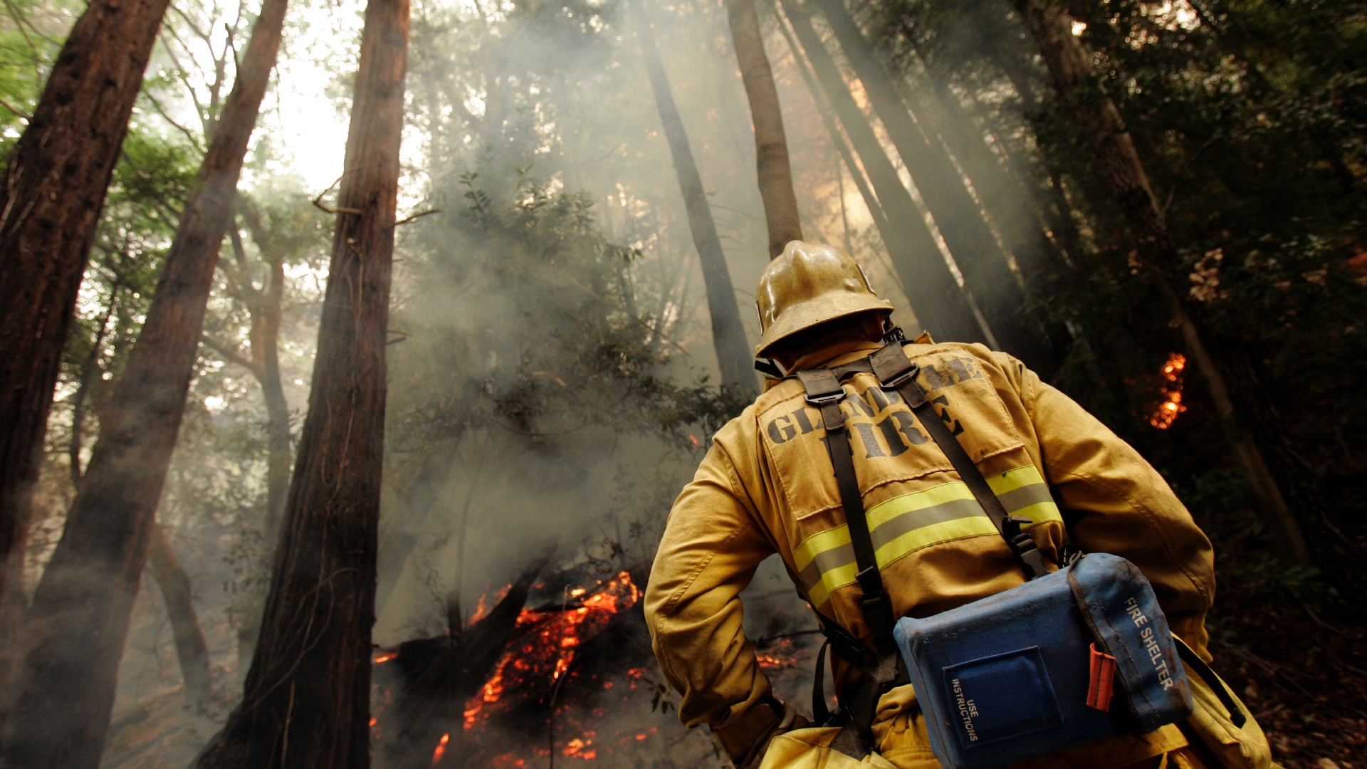 Green read fire