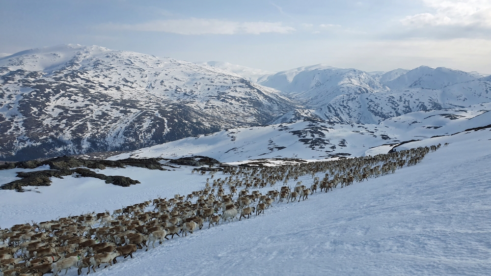 The Saami community of Jillen Njaarke fears