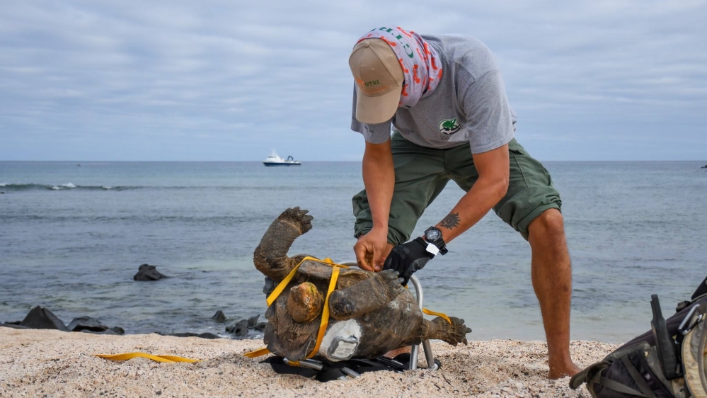 Galapagos