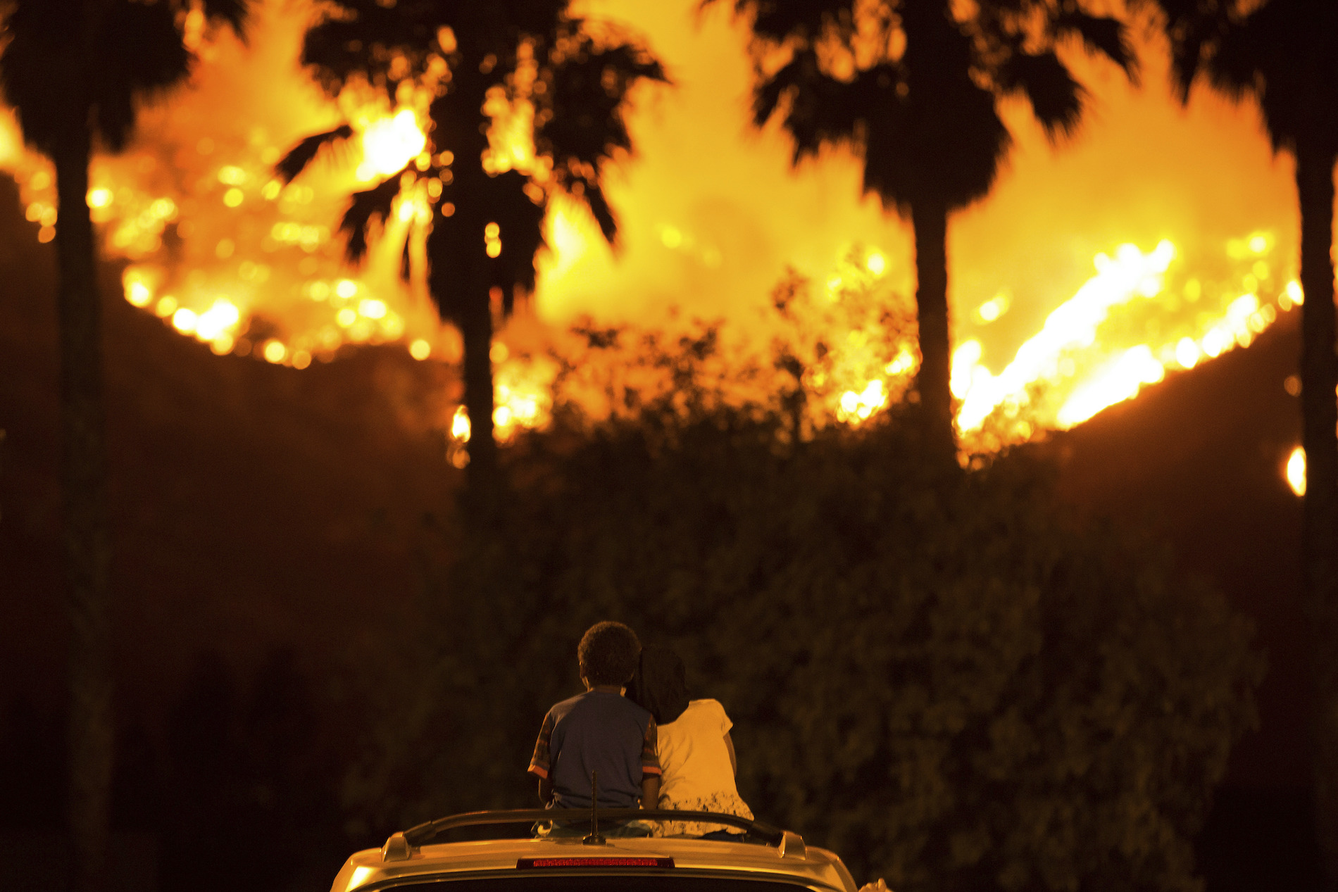 Climate psychiatry - Greta Moran