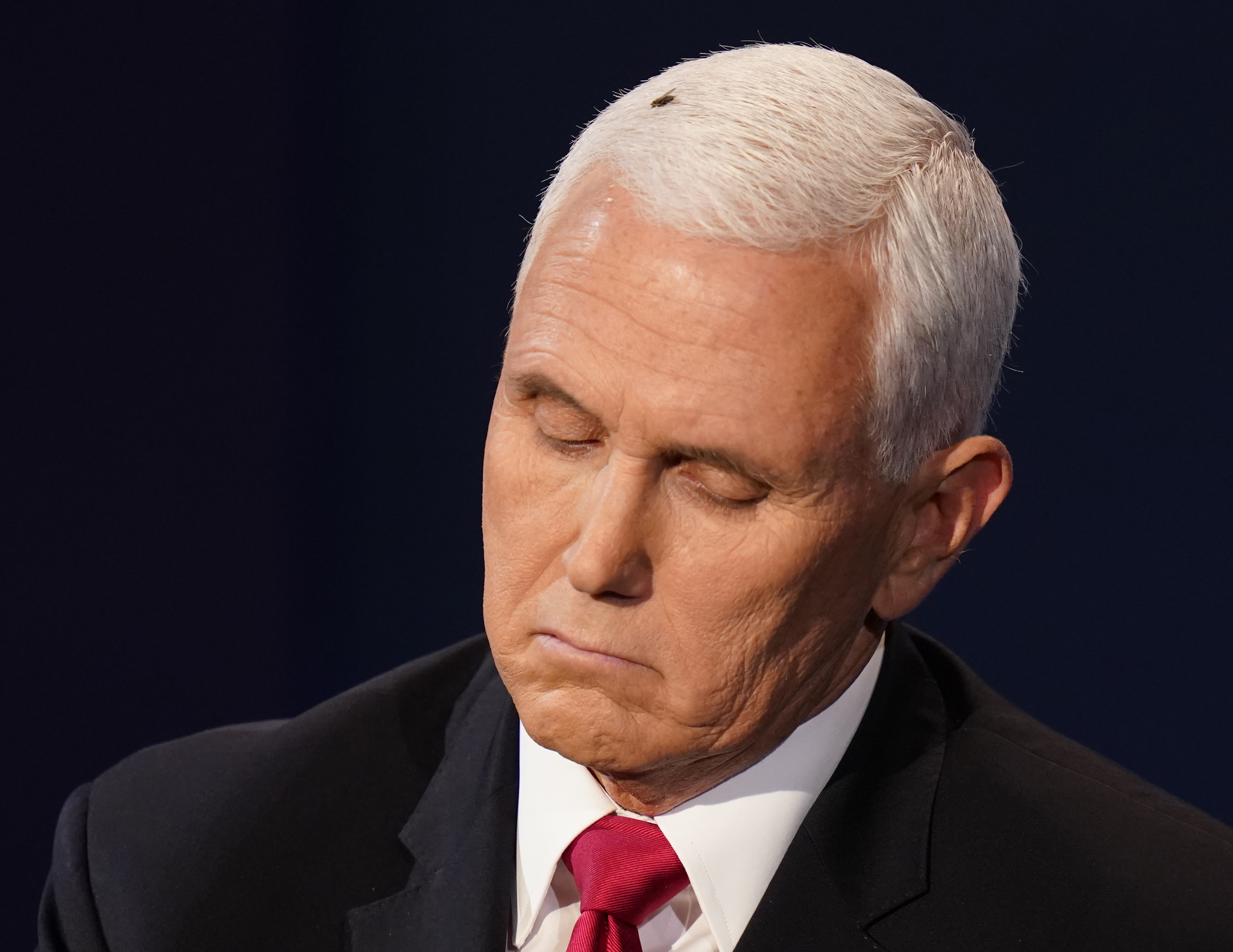 Unluckily for Pence, a fly captivated millions of viewers of the debate for two minutes as it landed, and stayed, on his white hair, prompting a torrent of commentary on social media