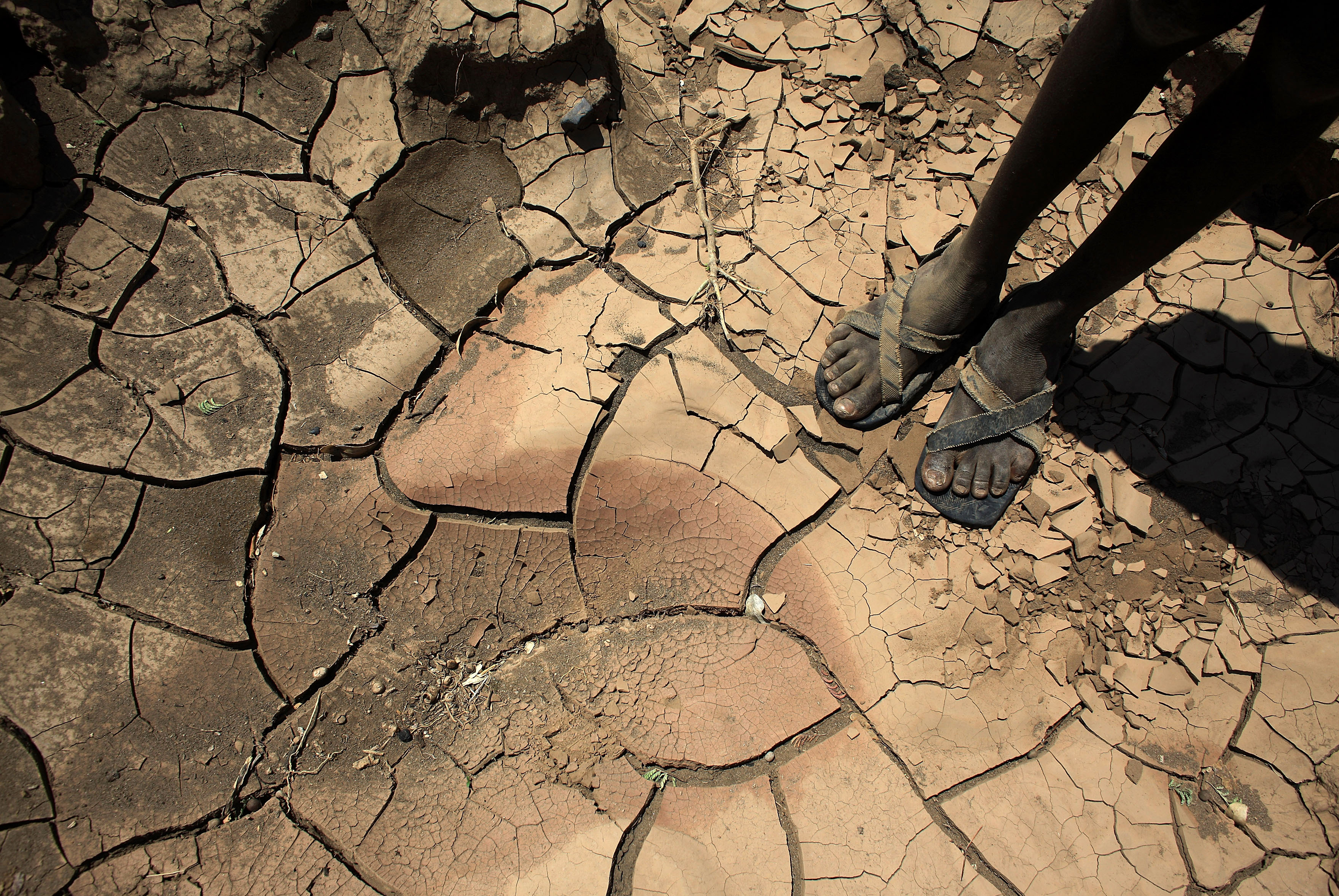 Without needing to read academic studies and examining climate models, every farmer and herder in Africa knows the bottom line: the weather is changing and it is changing fast, writes Ibrahim [Christopher Furlong/Getty Images]