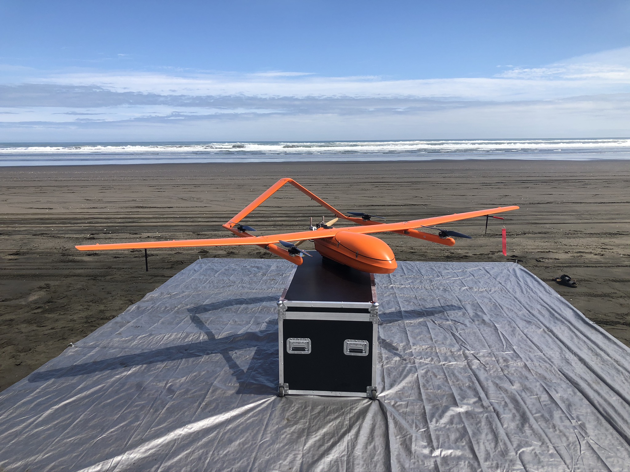 Data from the drone could also help researchers tackle the dolphins single biggest threat – toxoplasmosis – which is found in cat faeces and ingested by dolphins when they eat fish [Courtesy of MAUI63]