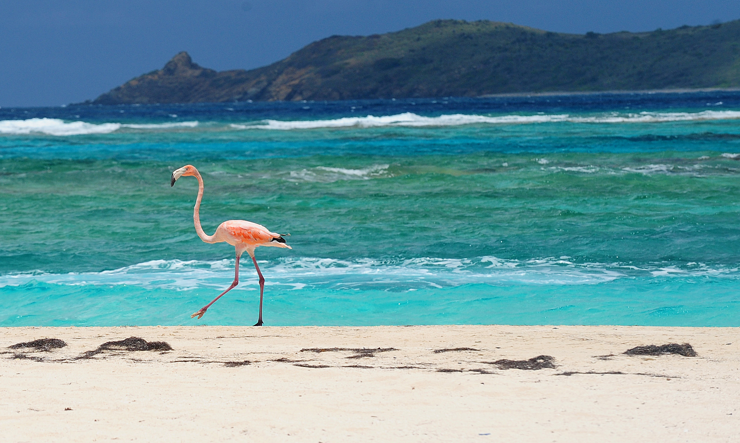 Some of these 14 British Overseas Territories - including Bermuda, the British Virgin Islands, the Cayman Islands, Gibraltar and Turks and Caicos Islands - started to live off a blend of beach tourism and exotic finance that activists say left both locals and distant taxpayers short-changed [File: Todd Vansickle/Reuters]