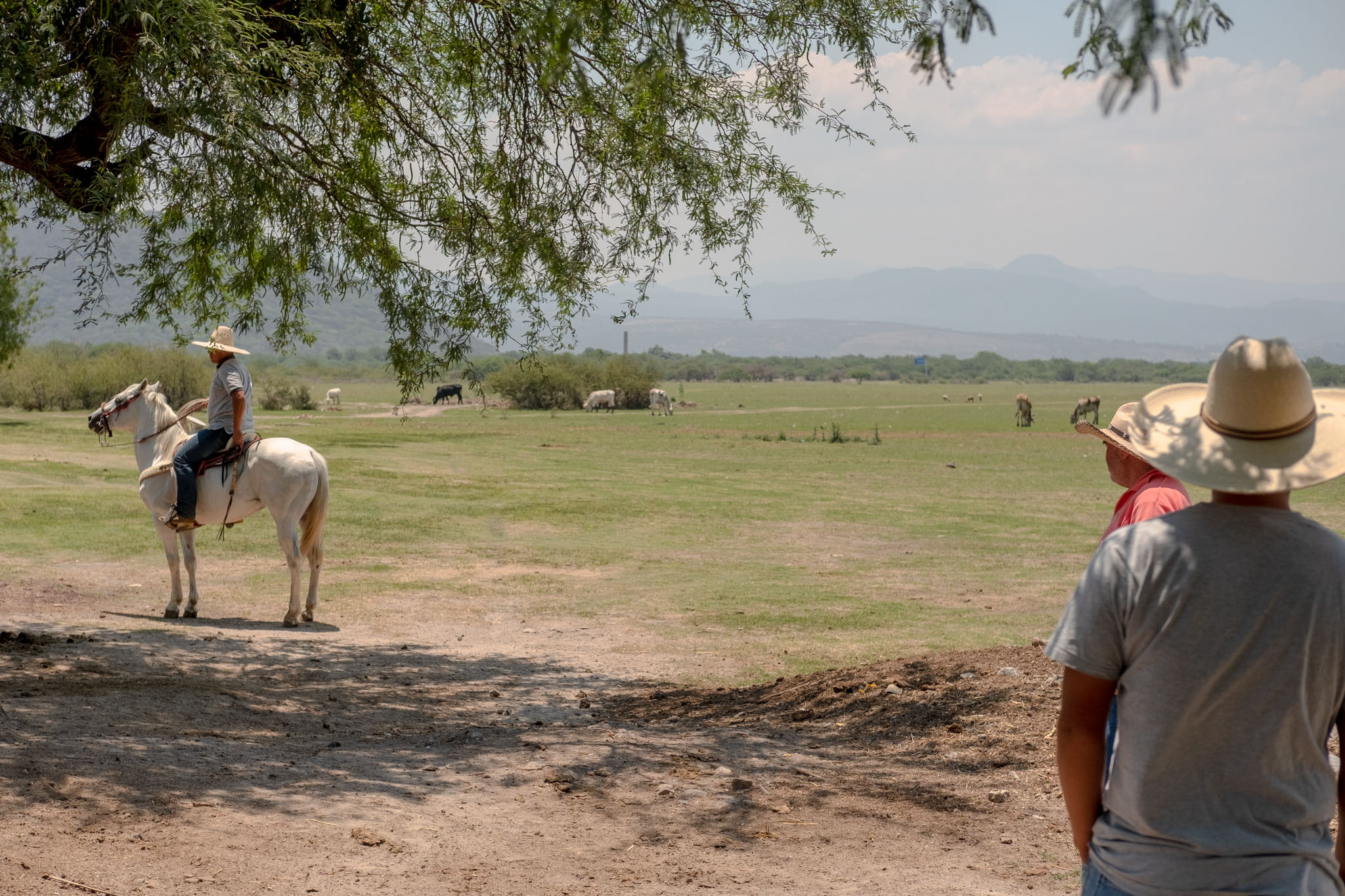 Young ranchero Herri (left) gets ready to go out on his horse to tend to a sick cow
