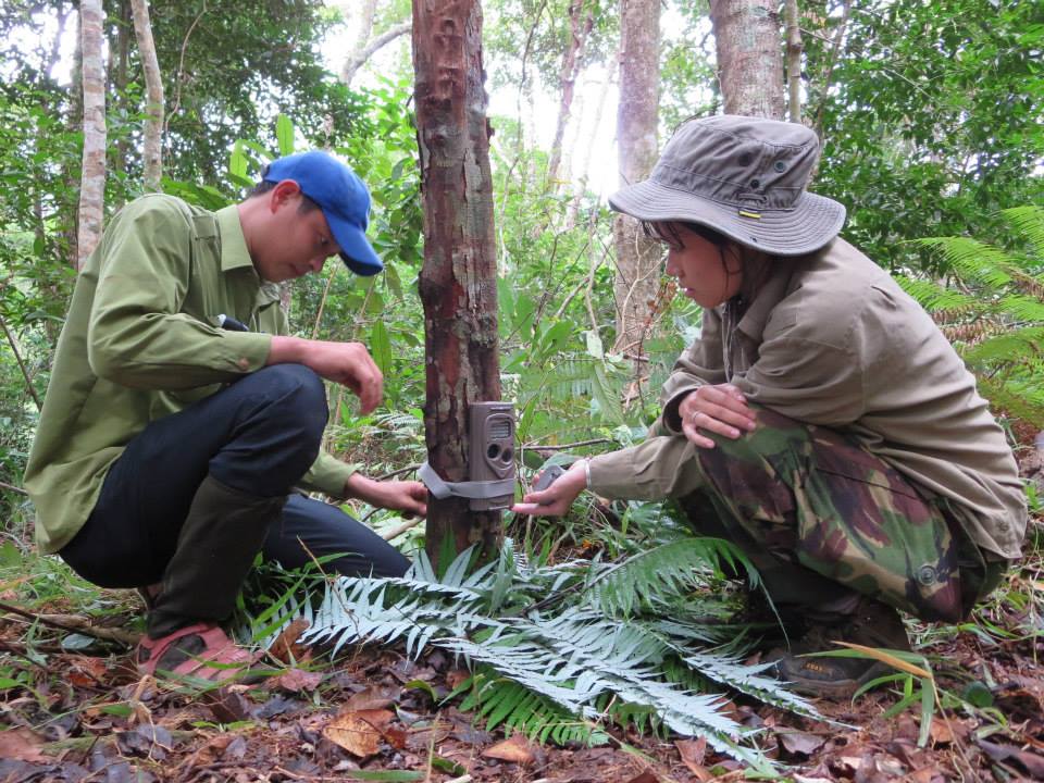 Setting up camera traps to find the clouded leopard in Kon Tum, Vietnam, in the early days of her conservation work [Courtesy of Trang Nguyen].