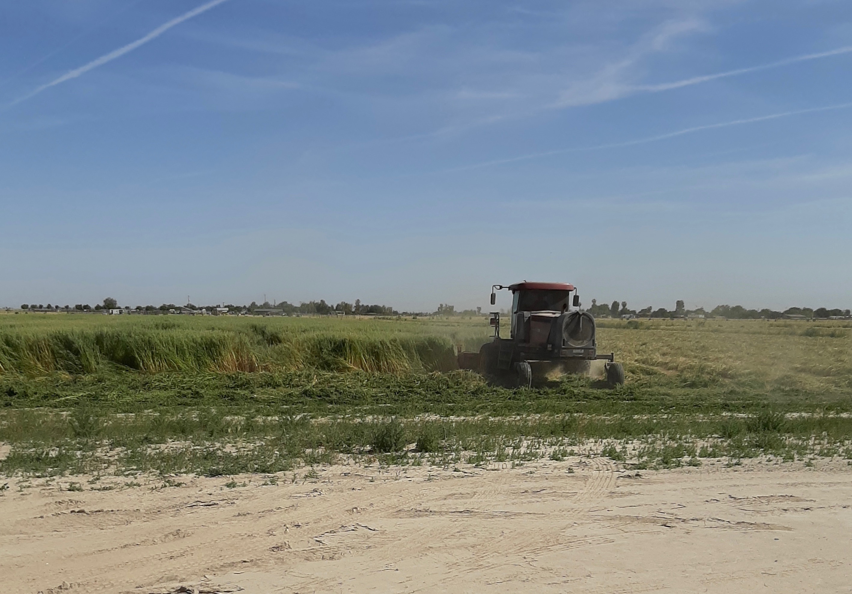 Tractor on field