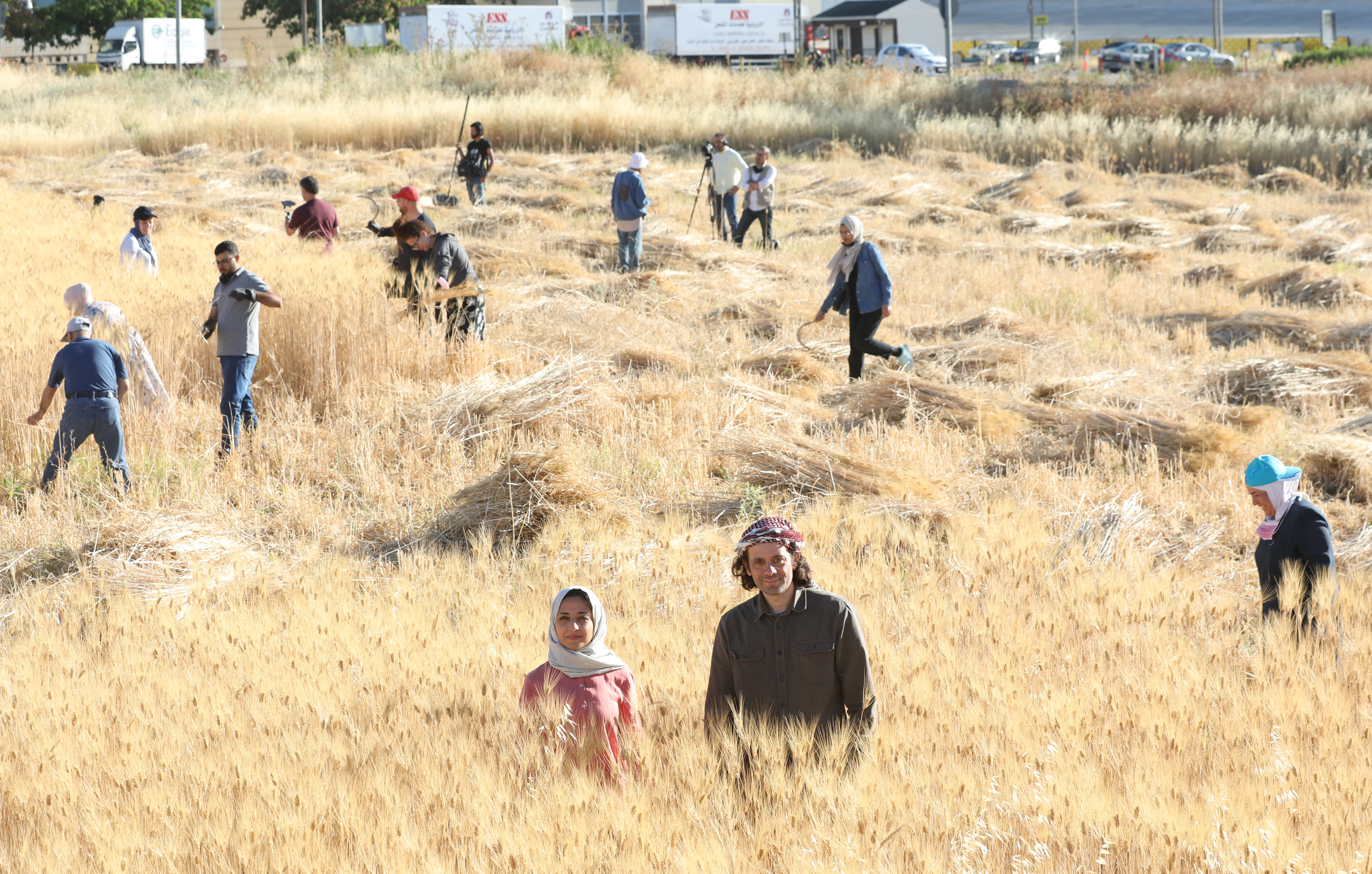 Lama Khatieb and Rabee Zureikat pose for a photo in a wheat field [Courtesy: Al-Barakeh Wheat]