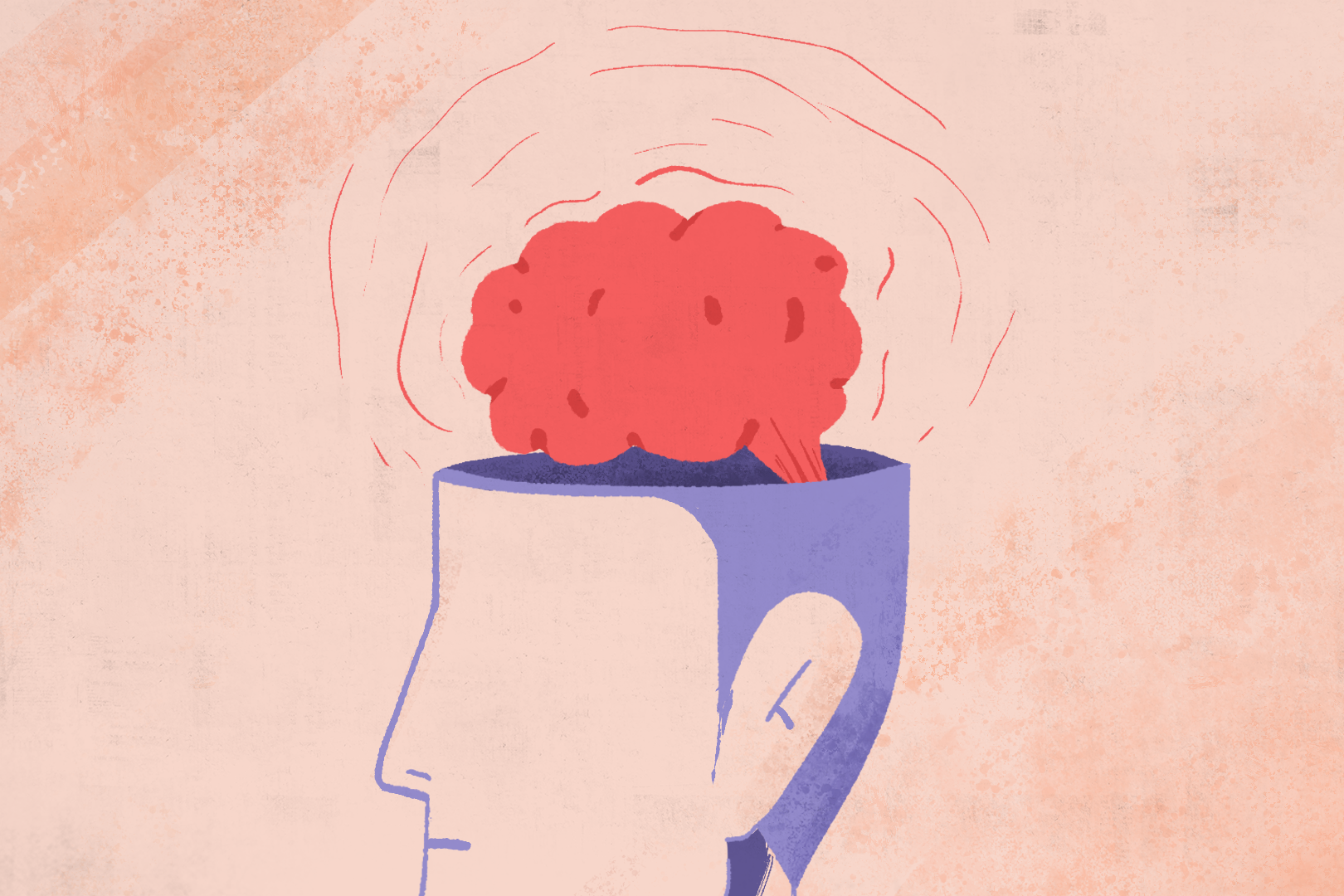 Drawing of a brain