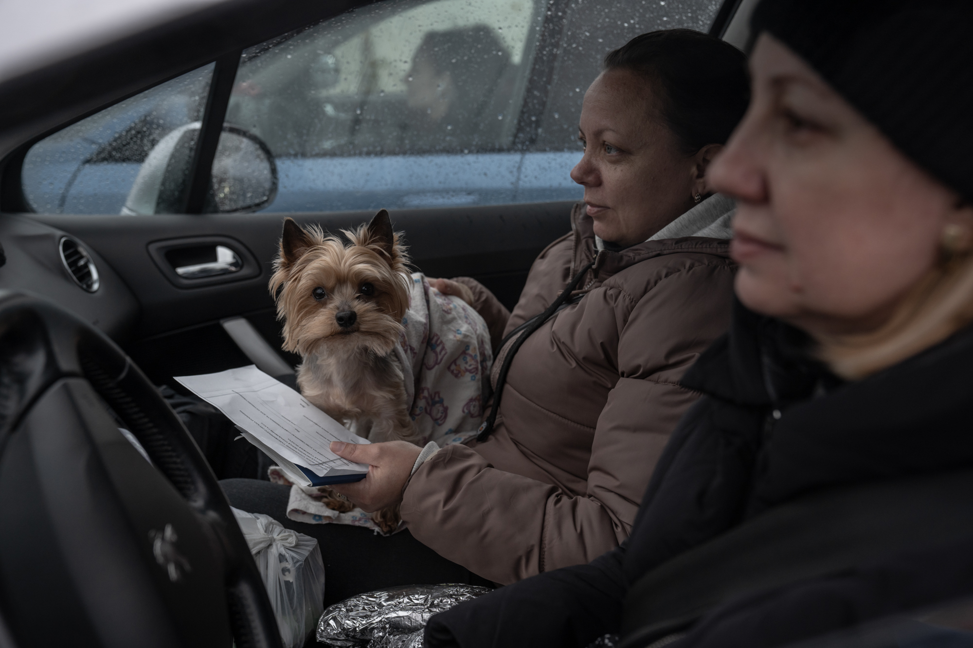 A number of Ukrainians are seen travelling with their pets