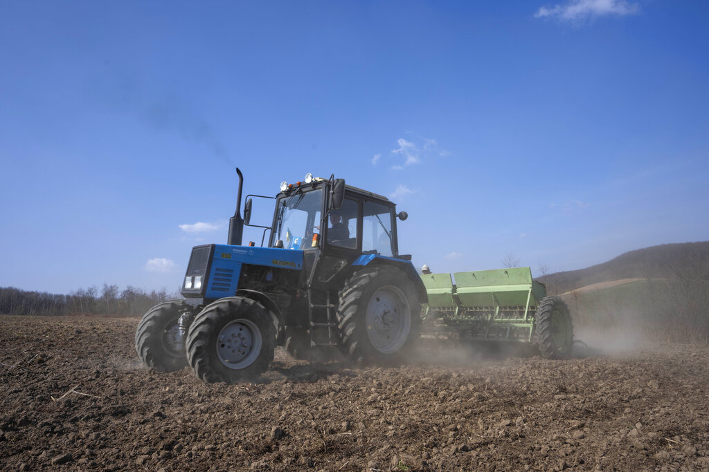 Workers plough wheat in the village of Husakiv in western Ukraine
