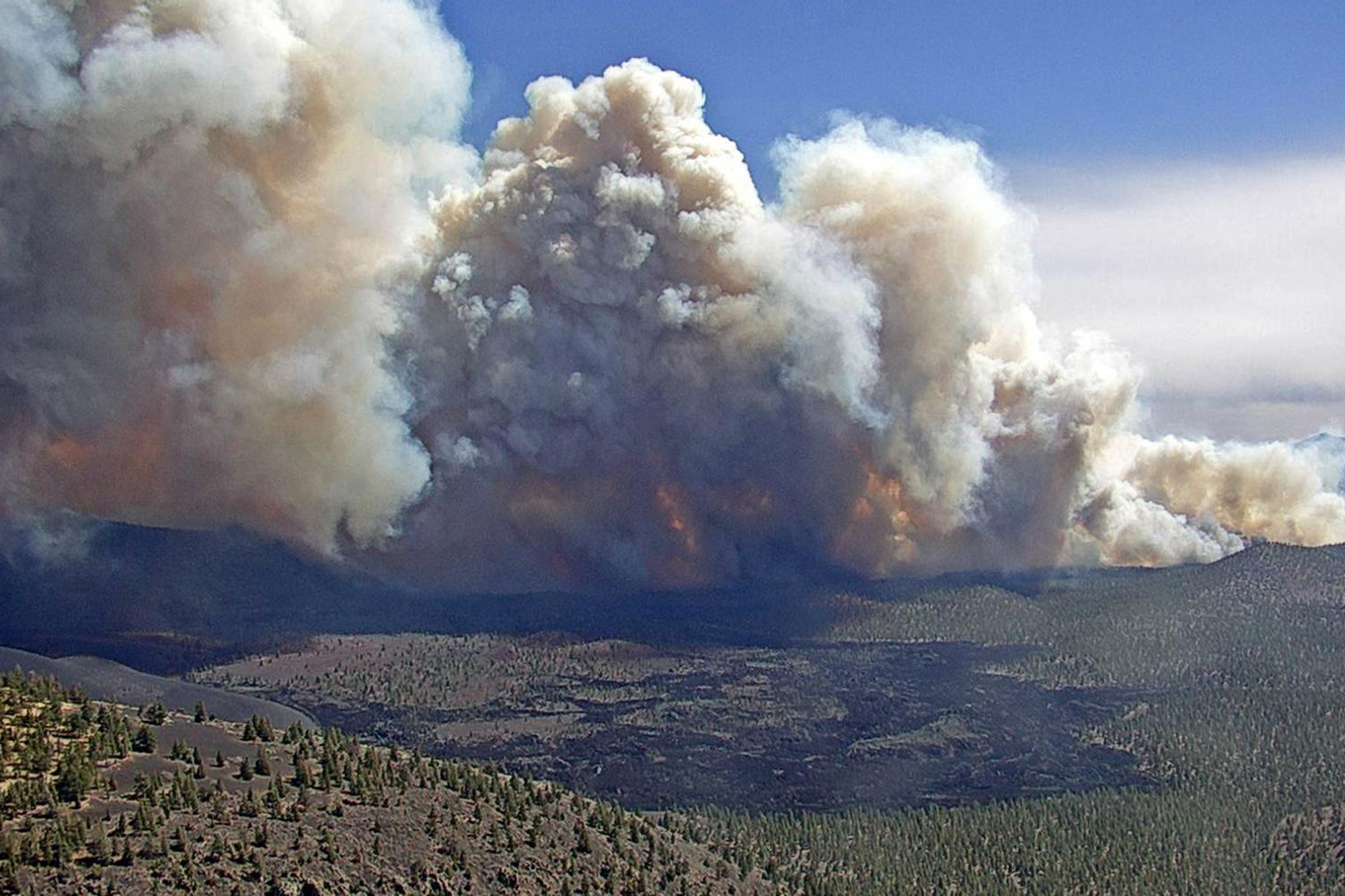 Heavy winds kicked up a towering wall of flames outside a town in northern Arizona [Coconino National Forest via AP]
