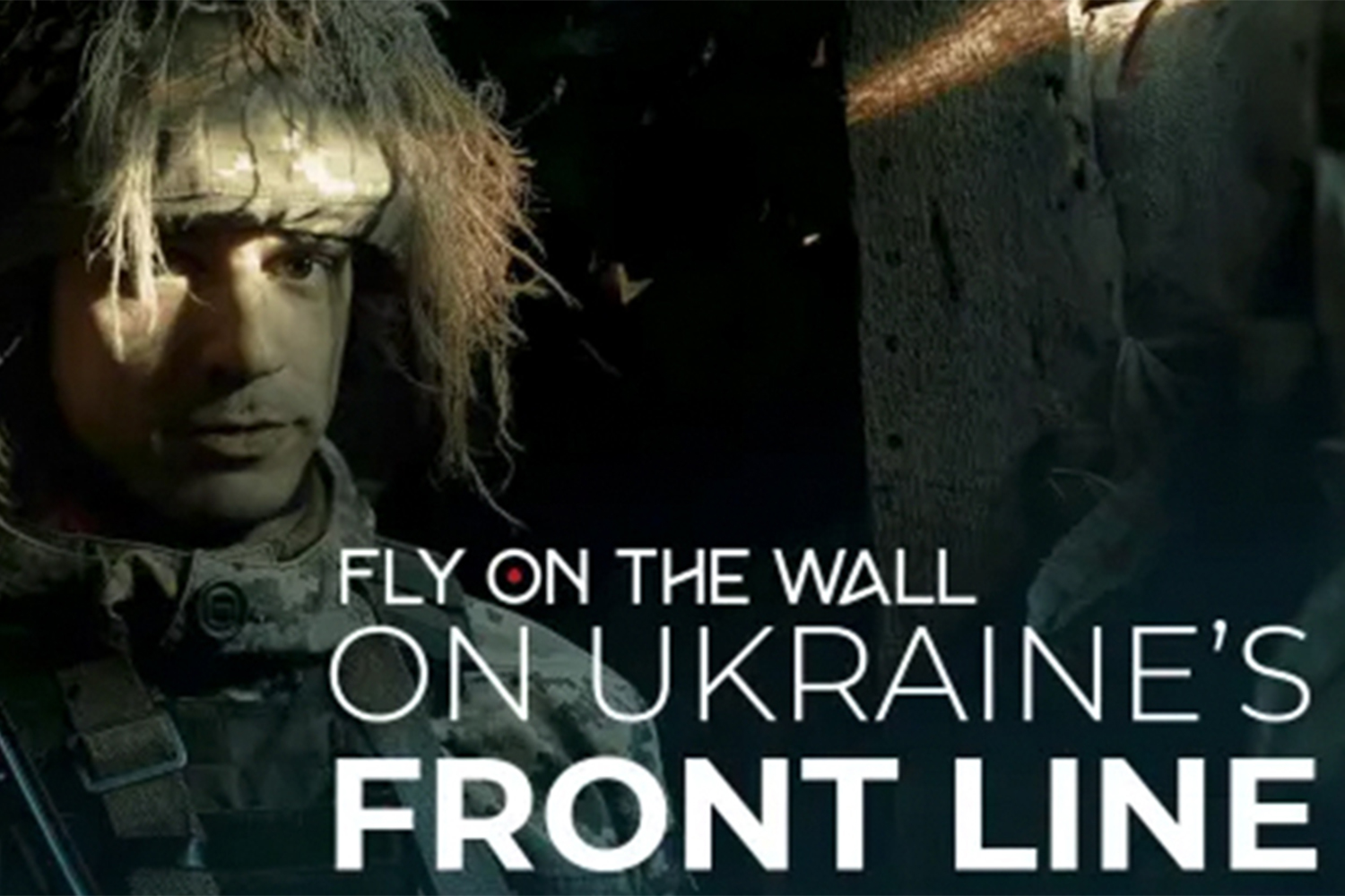 fly on the wall