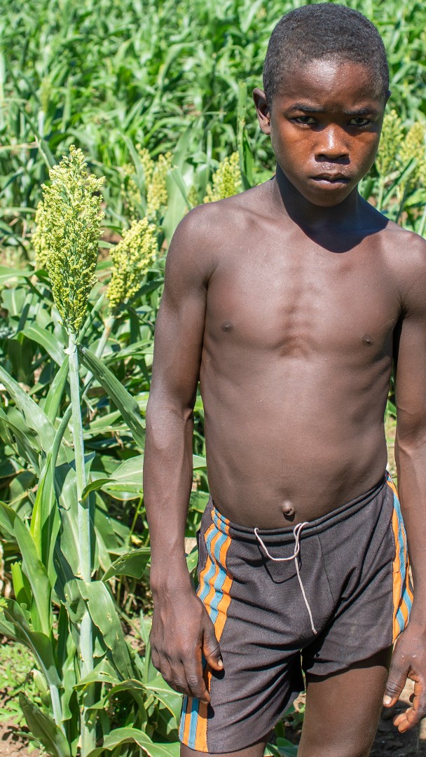 Madagascar Hunger