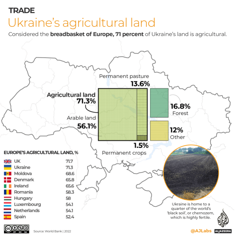Wheat Ukraine interactive