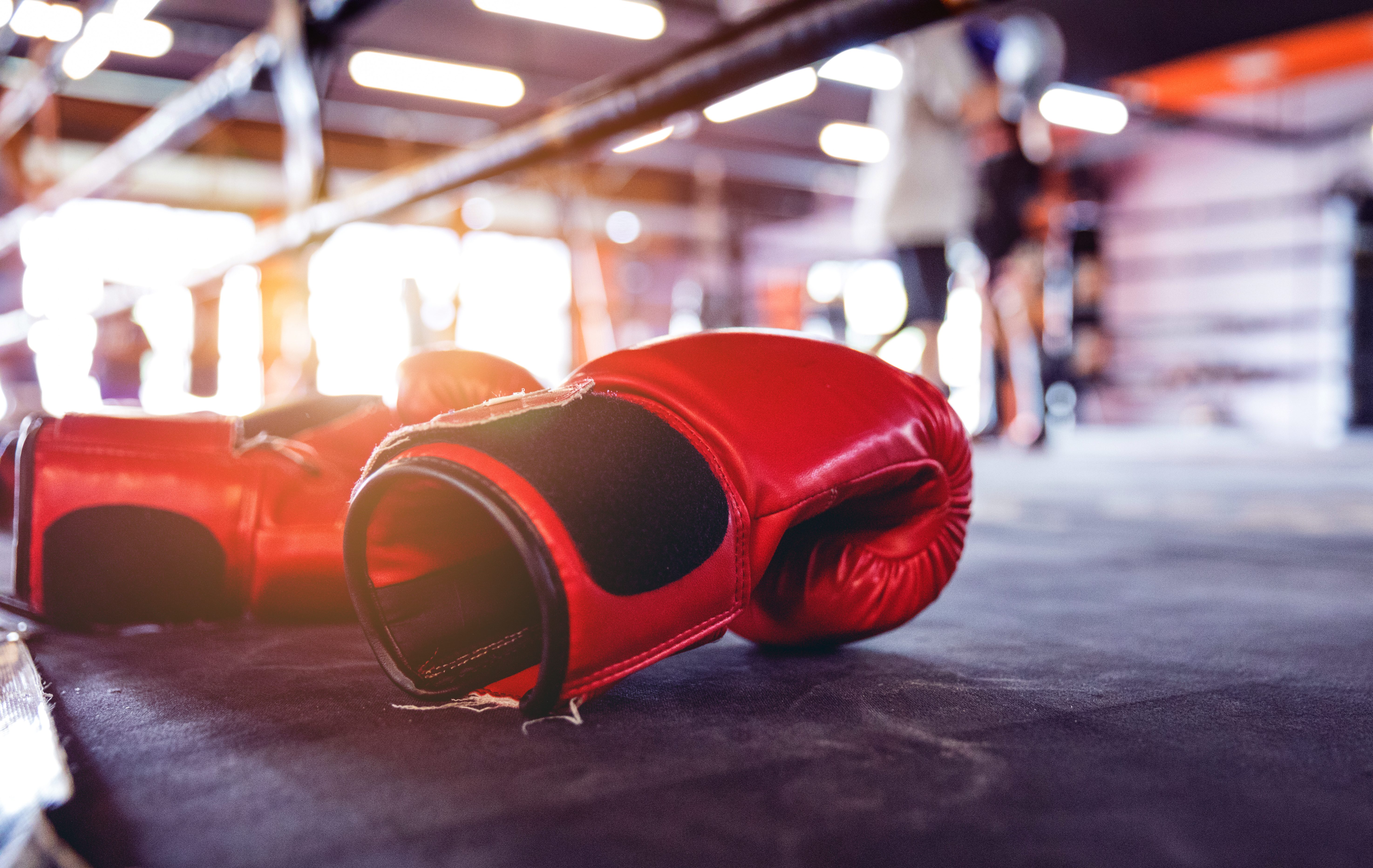 Boxing gloves are seen on the side of the ring.