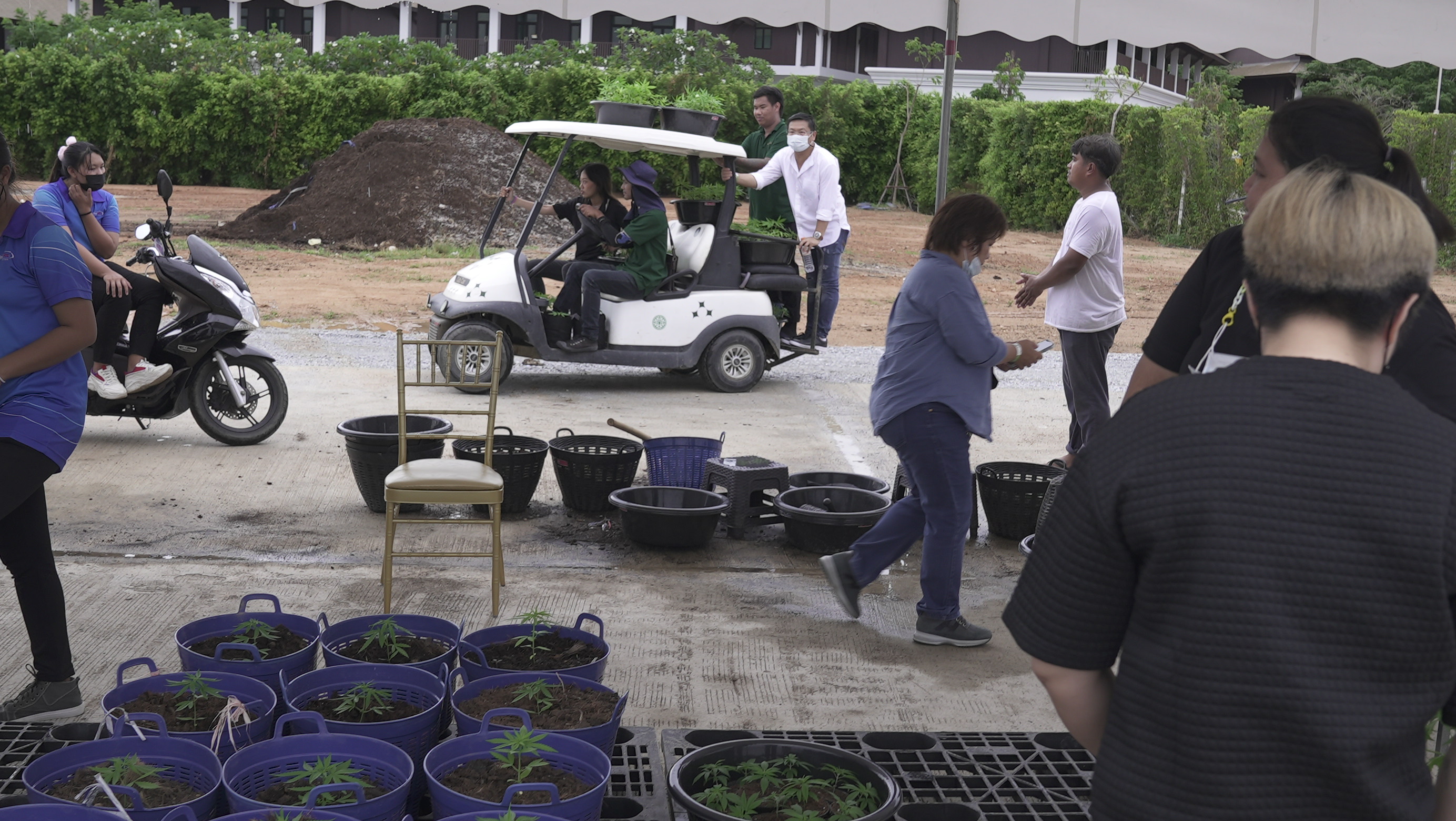 Siam Cannabis Land