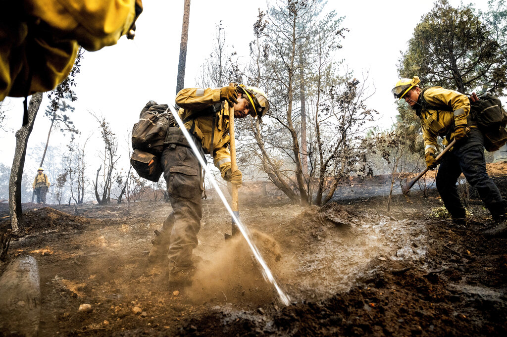 firefighters
