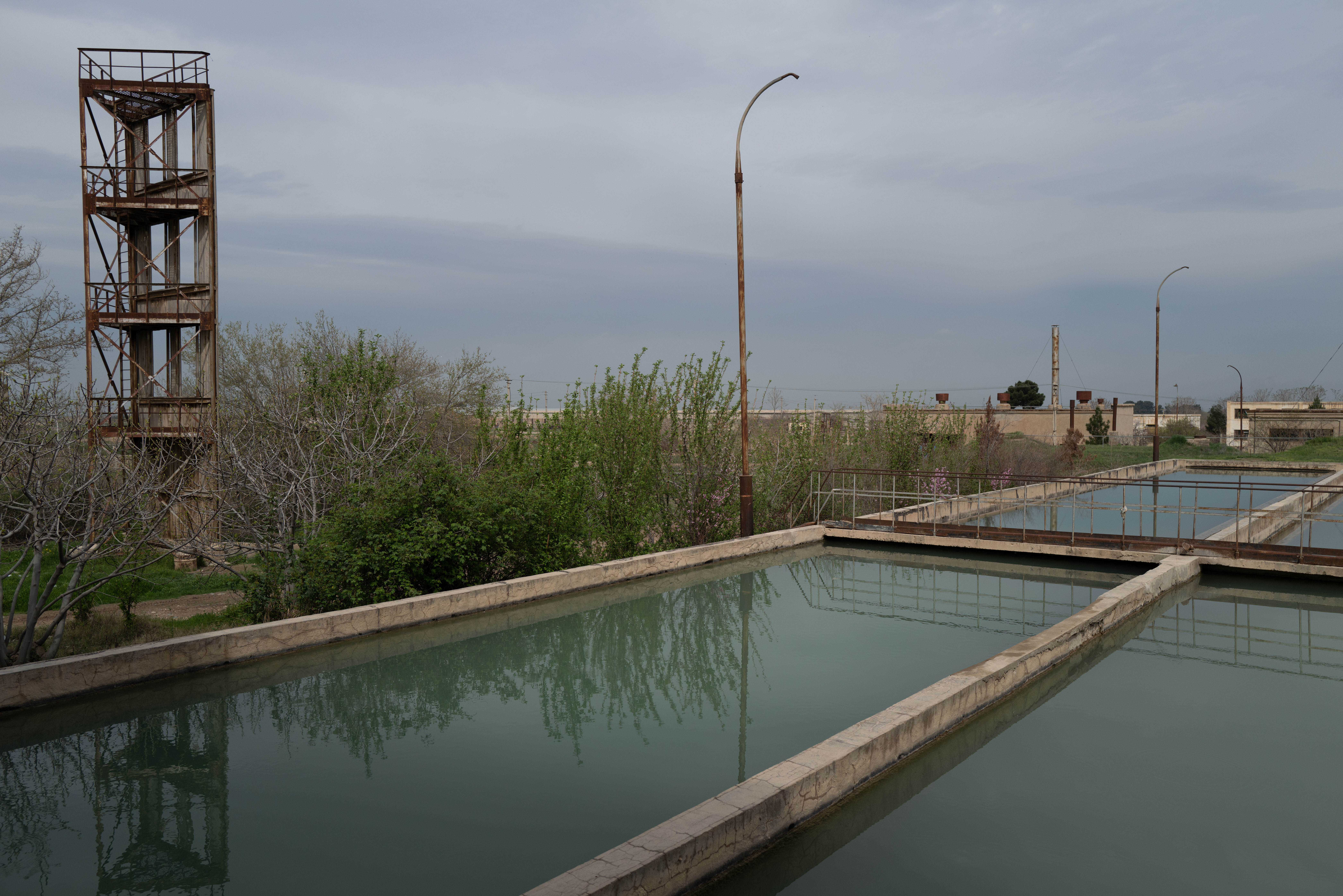 A photo of a pond.