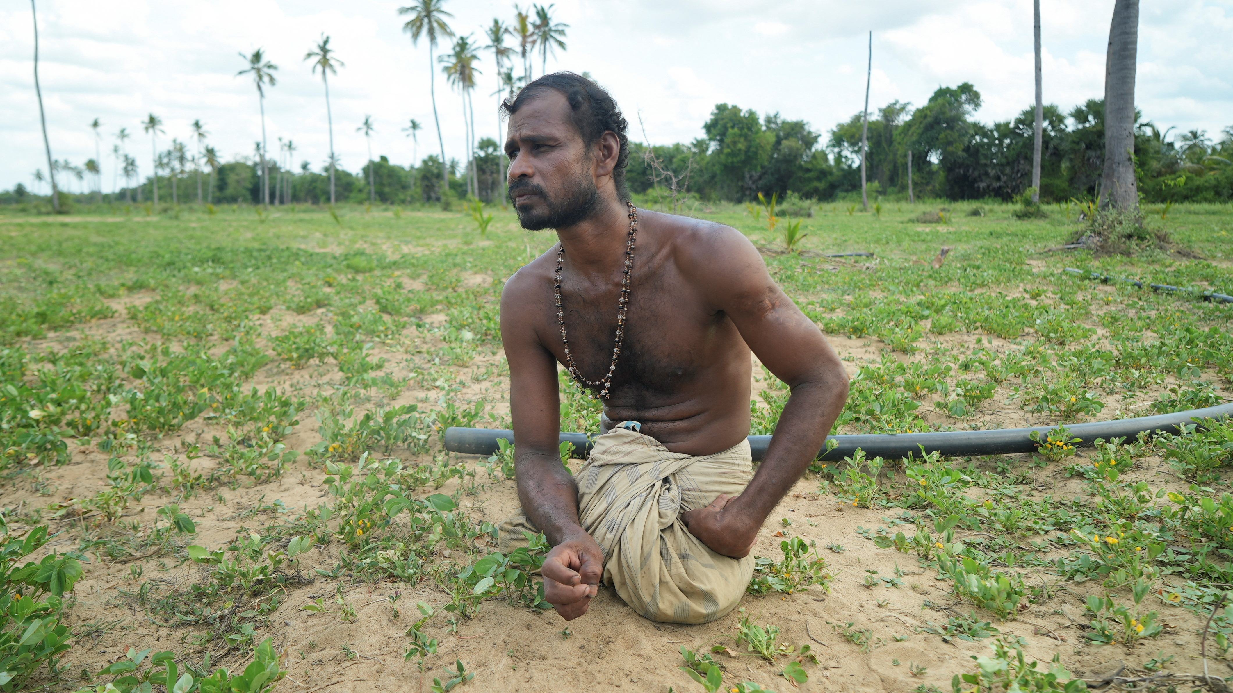 Sri Lanka crisis