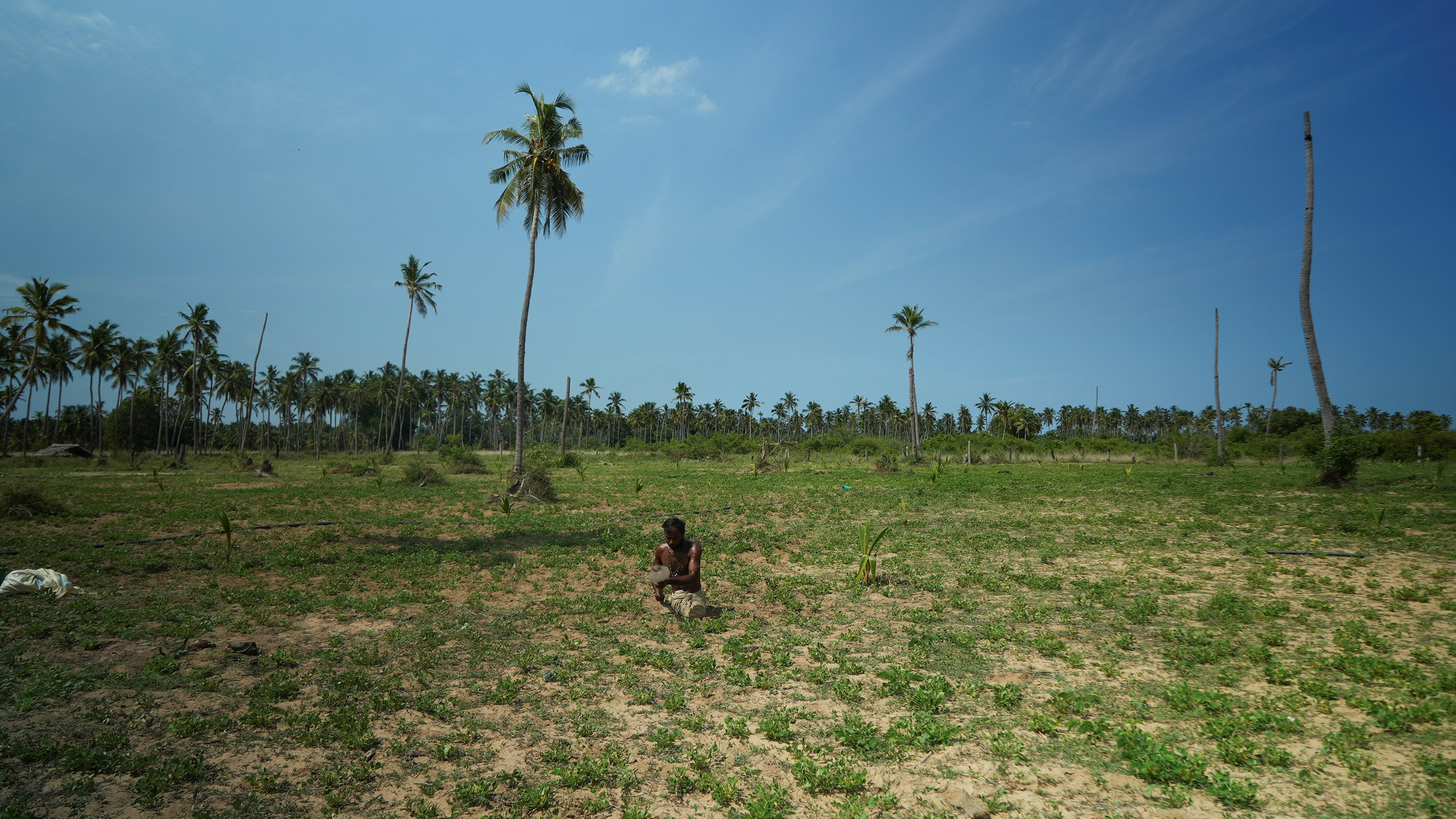 Sri Lanka crisis