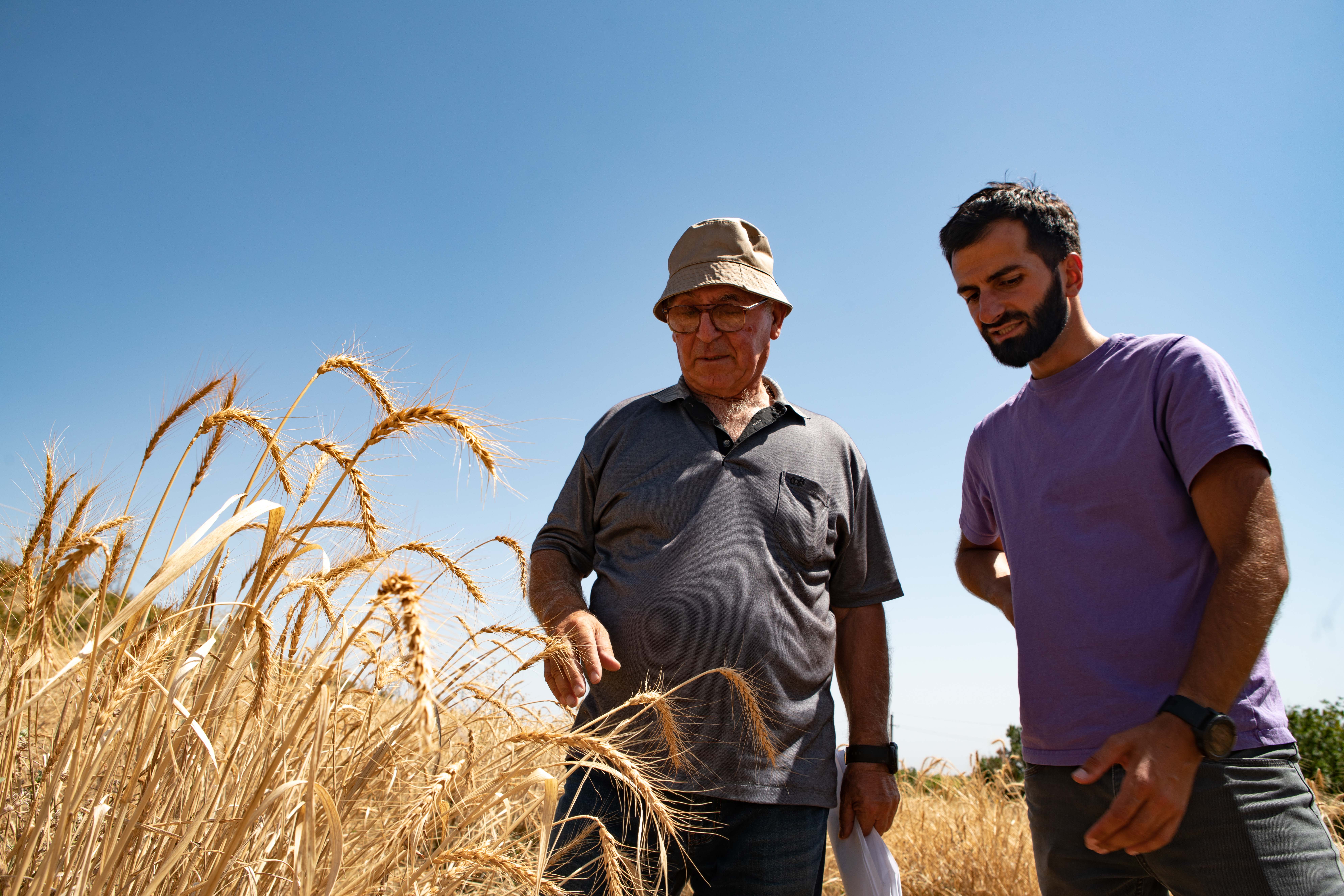Georgia Farmers