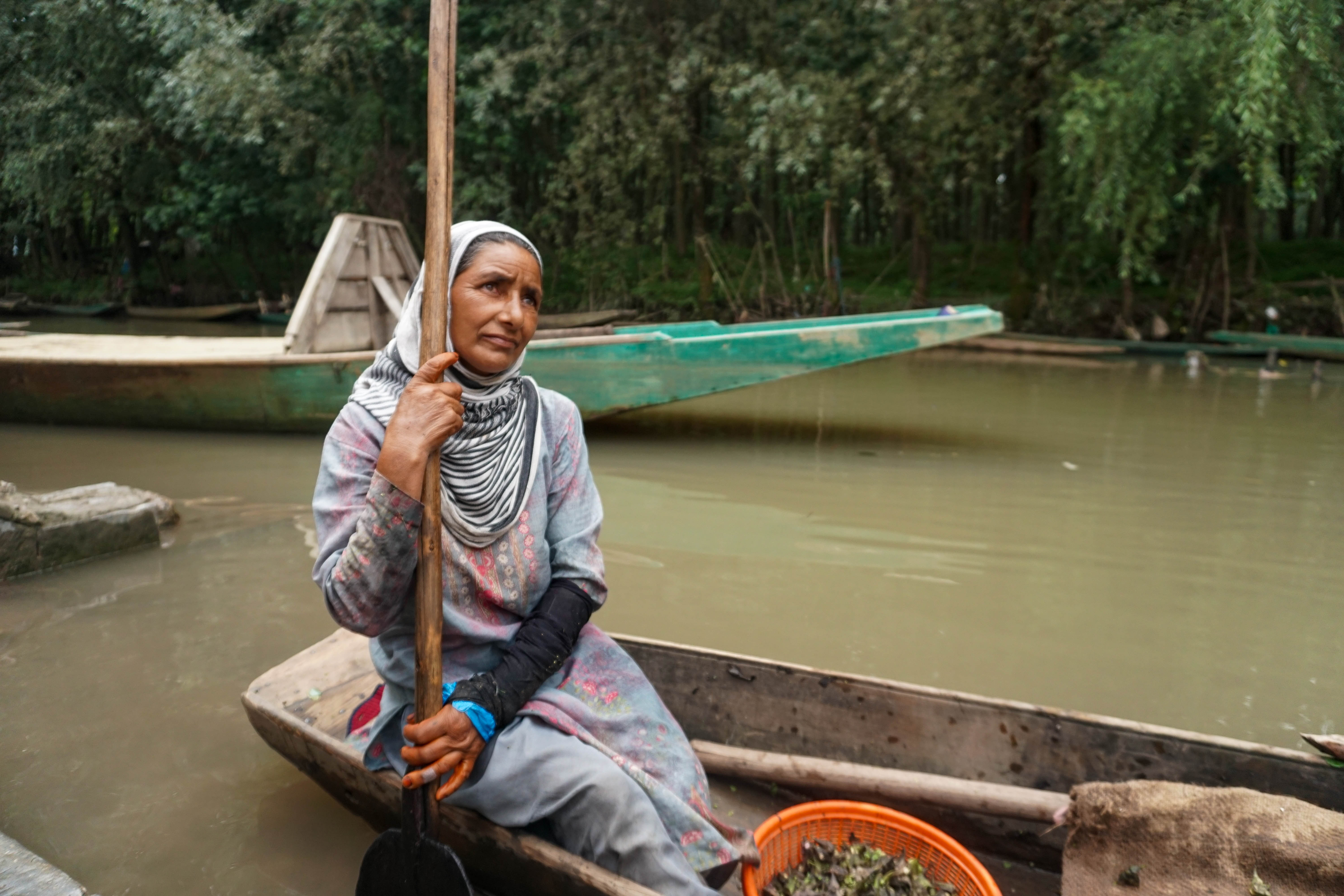 Kashmir