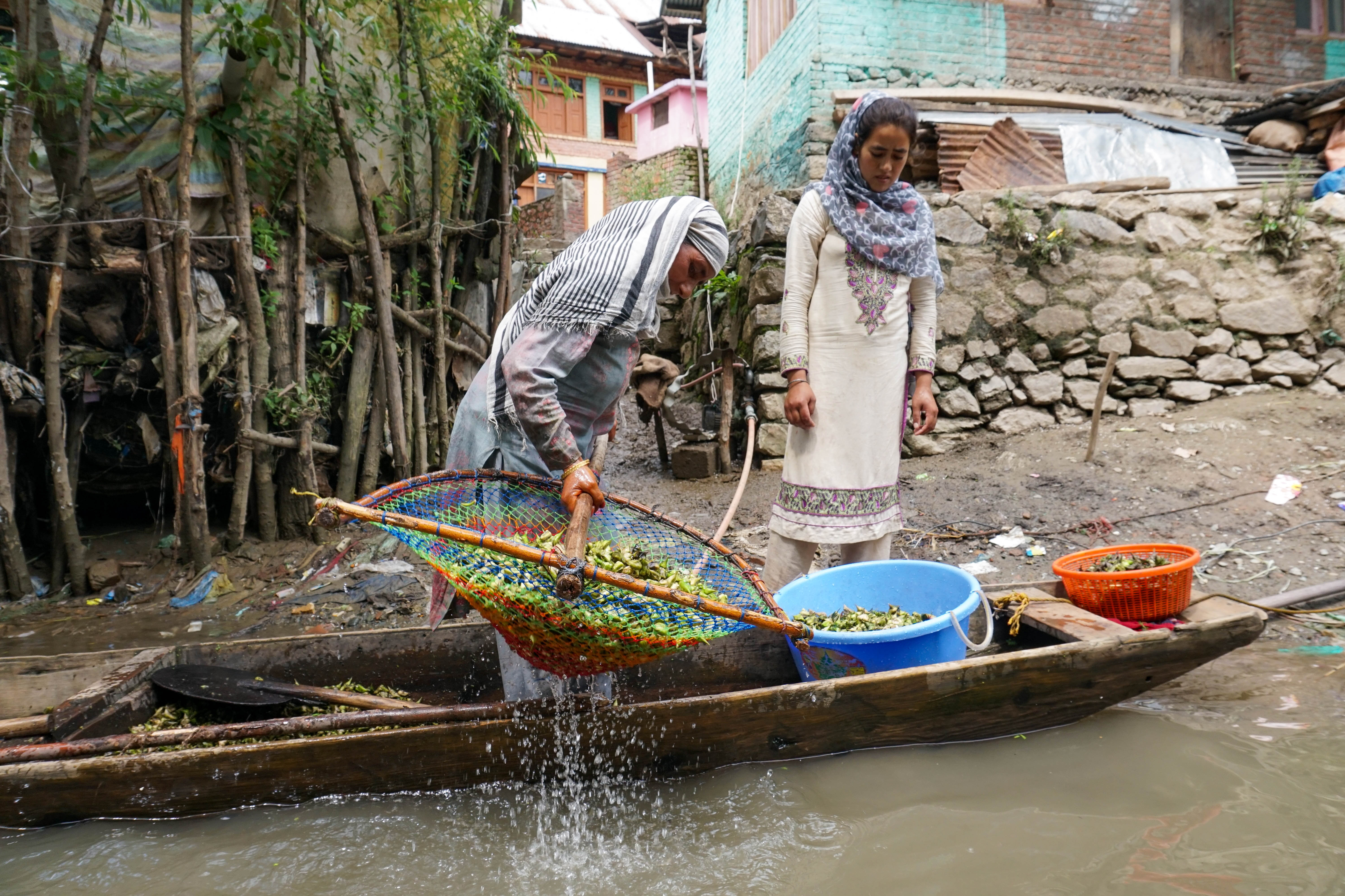Kashmir