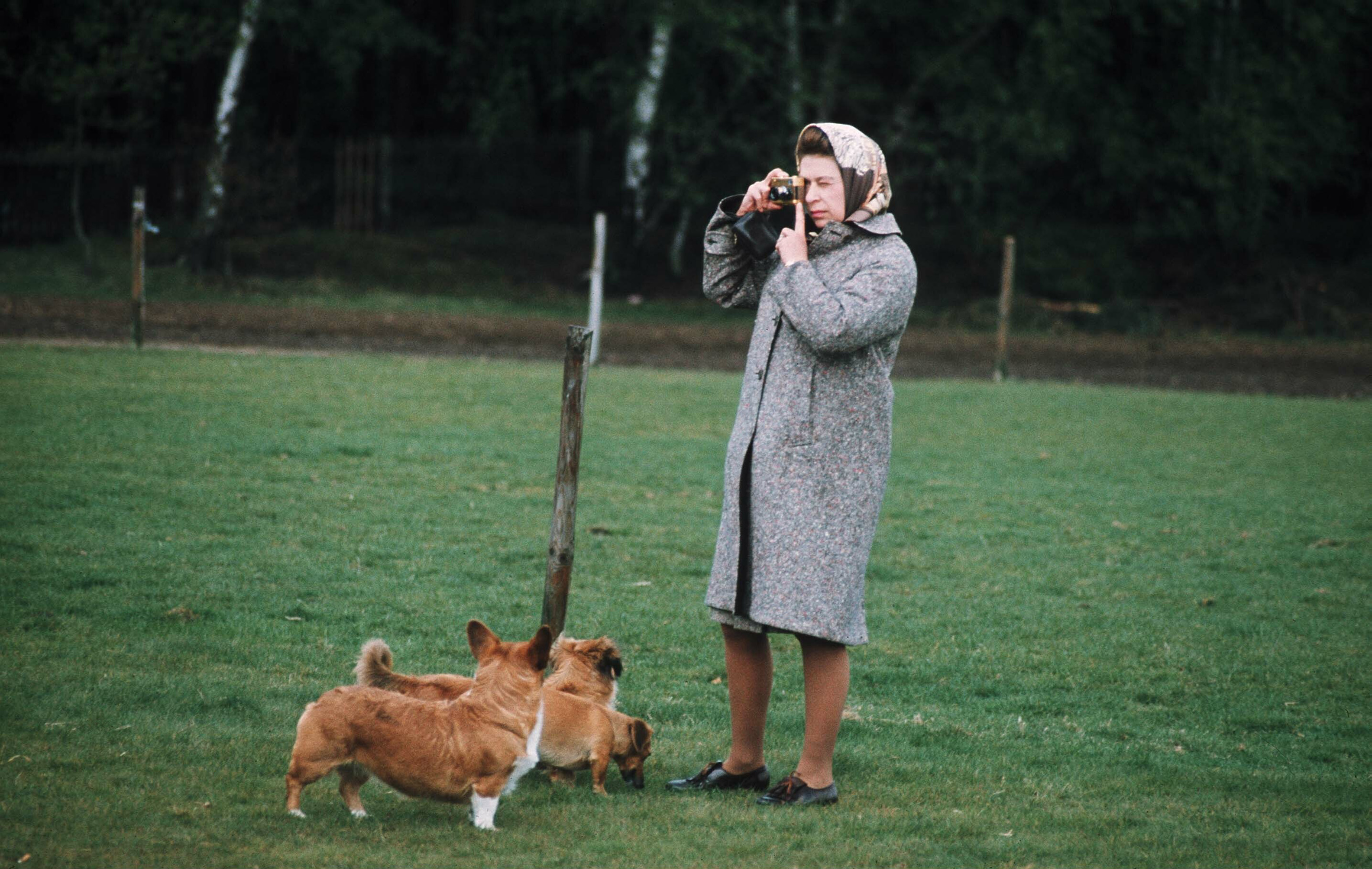 Queen Elizabeth II