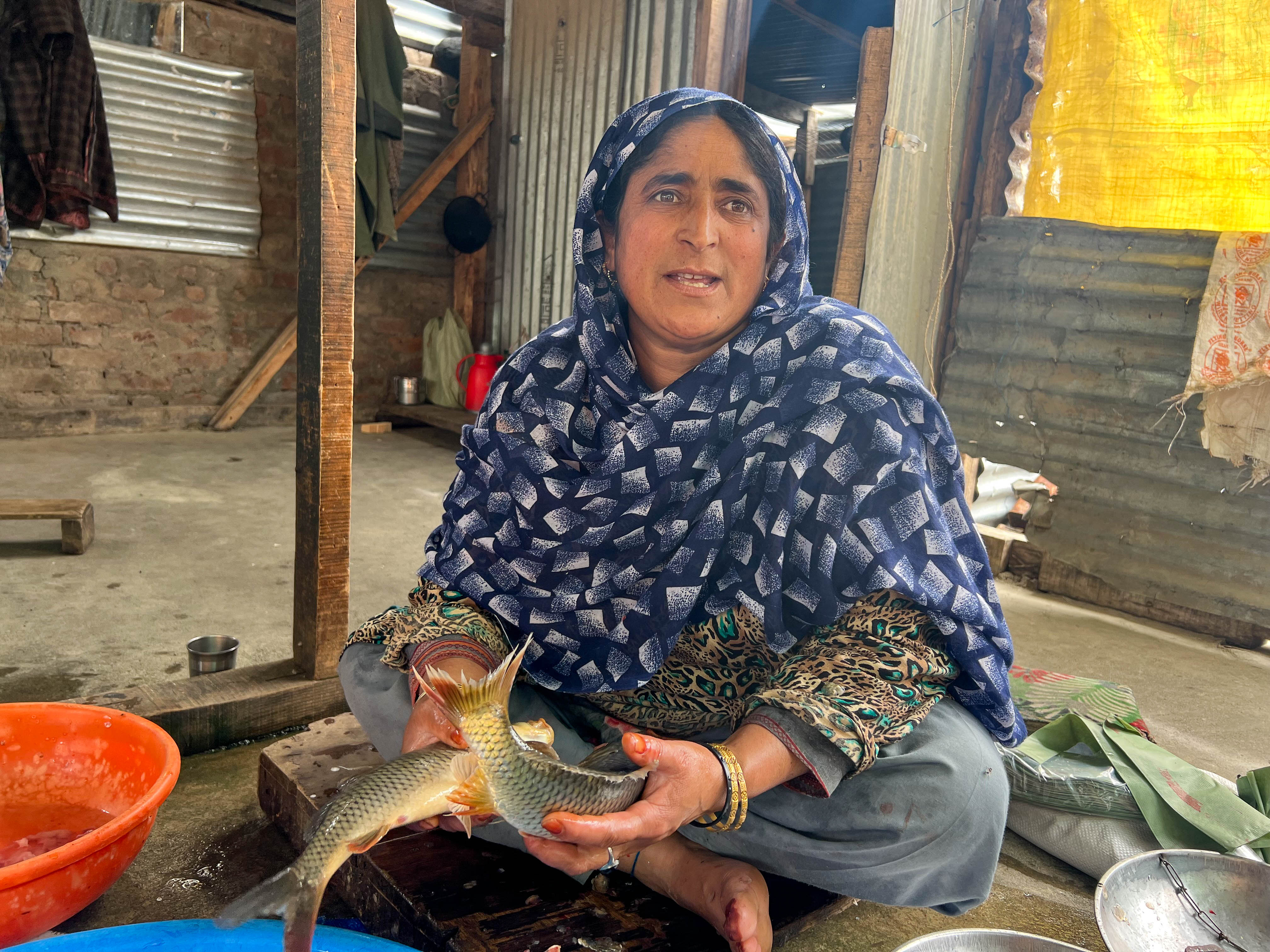 Kashmir