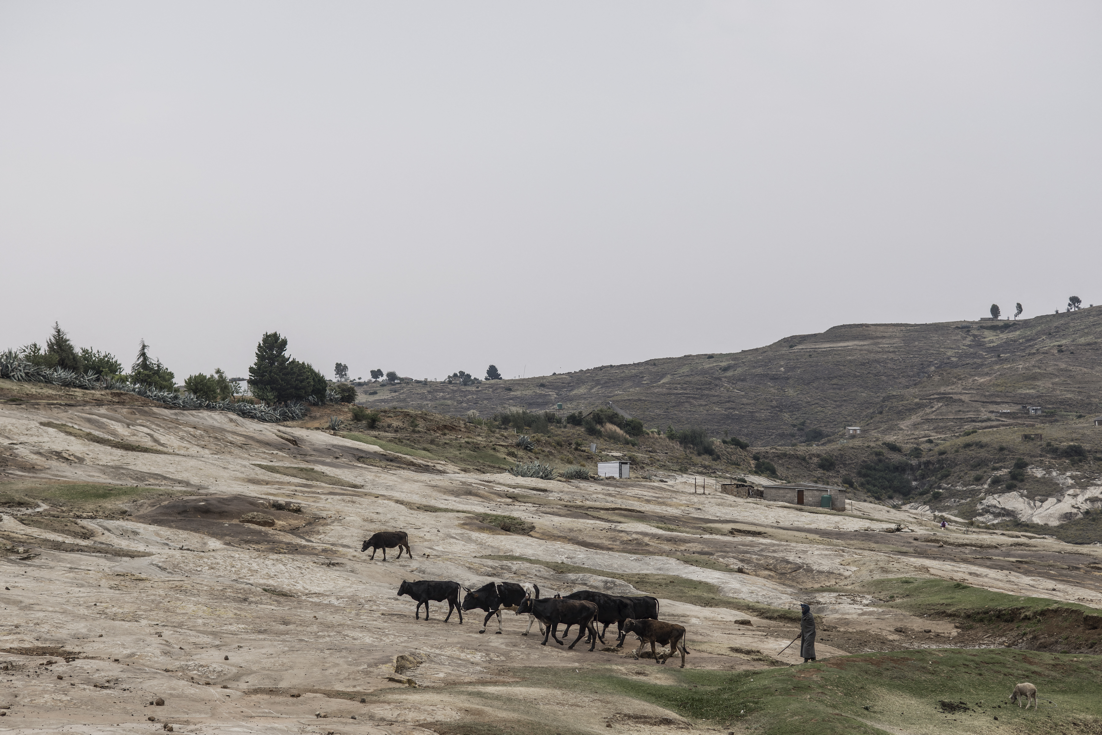 LESOTHO CULTURE
