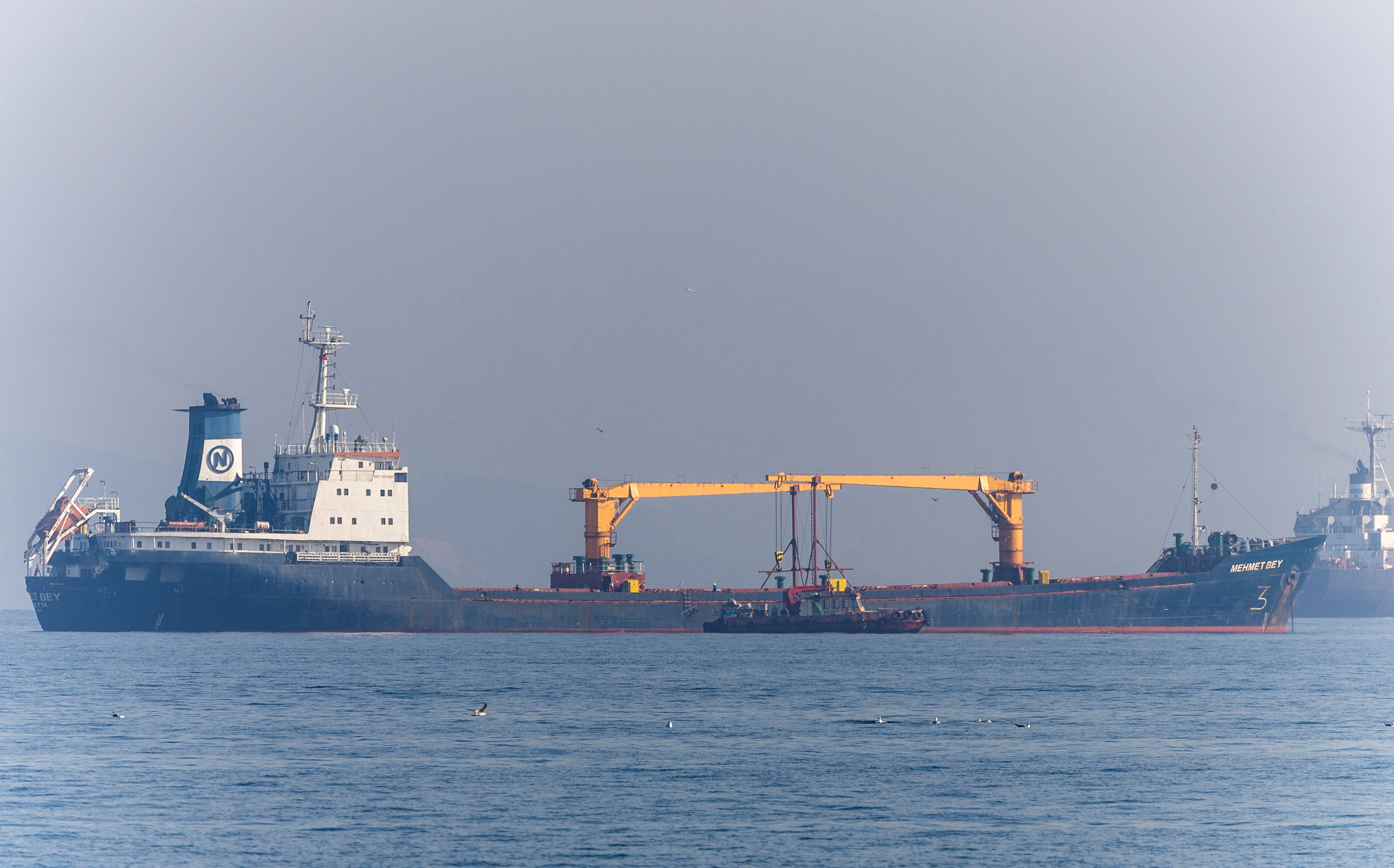 Grain cargo