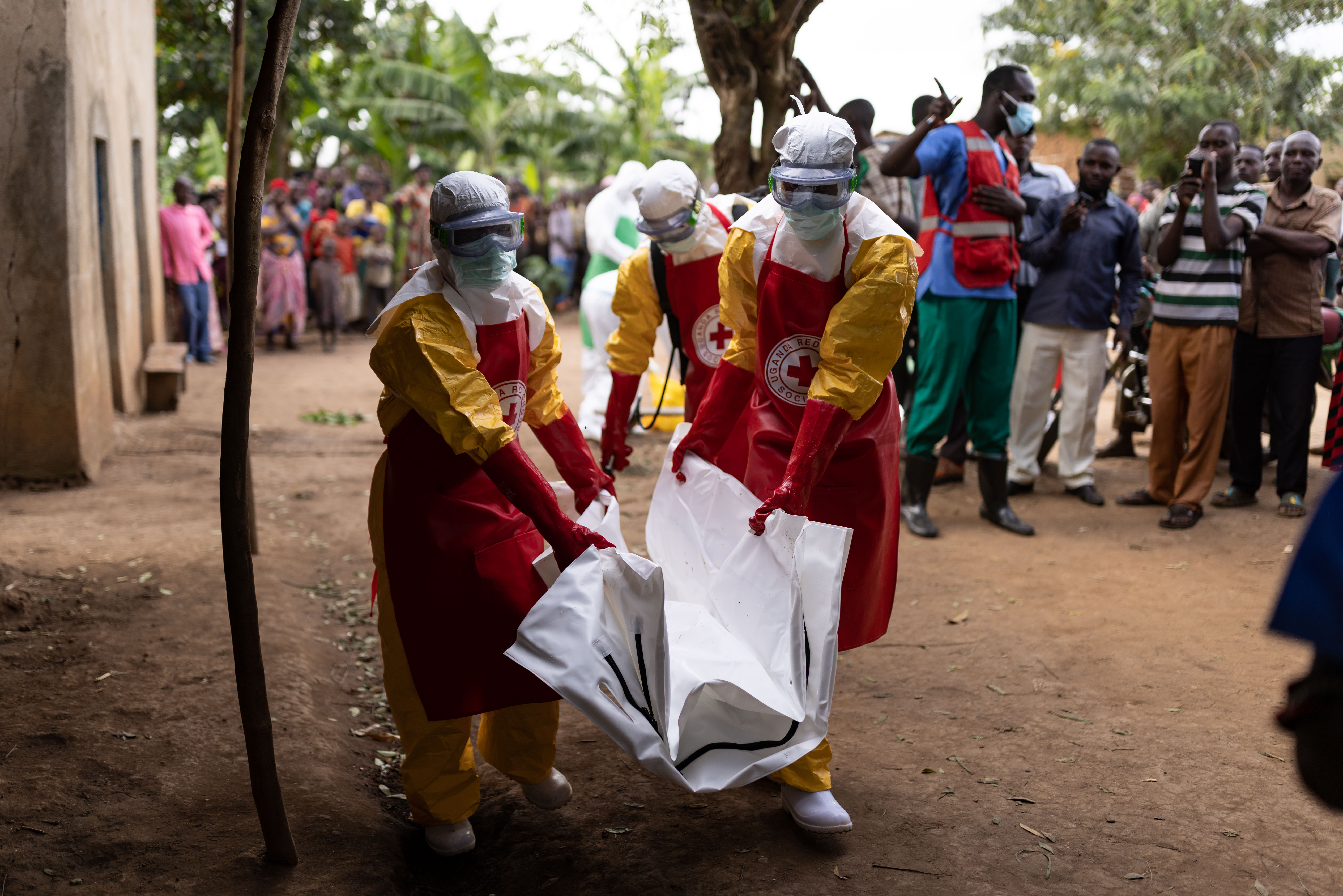 Ebola