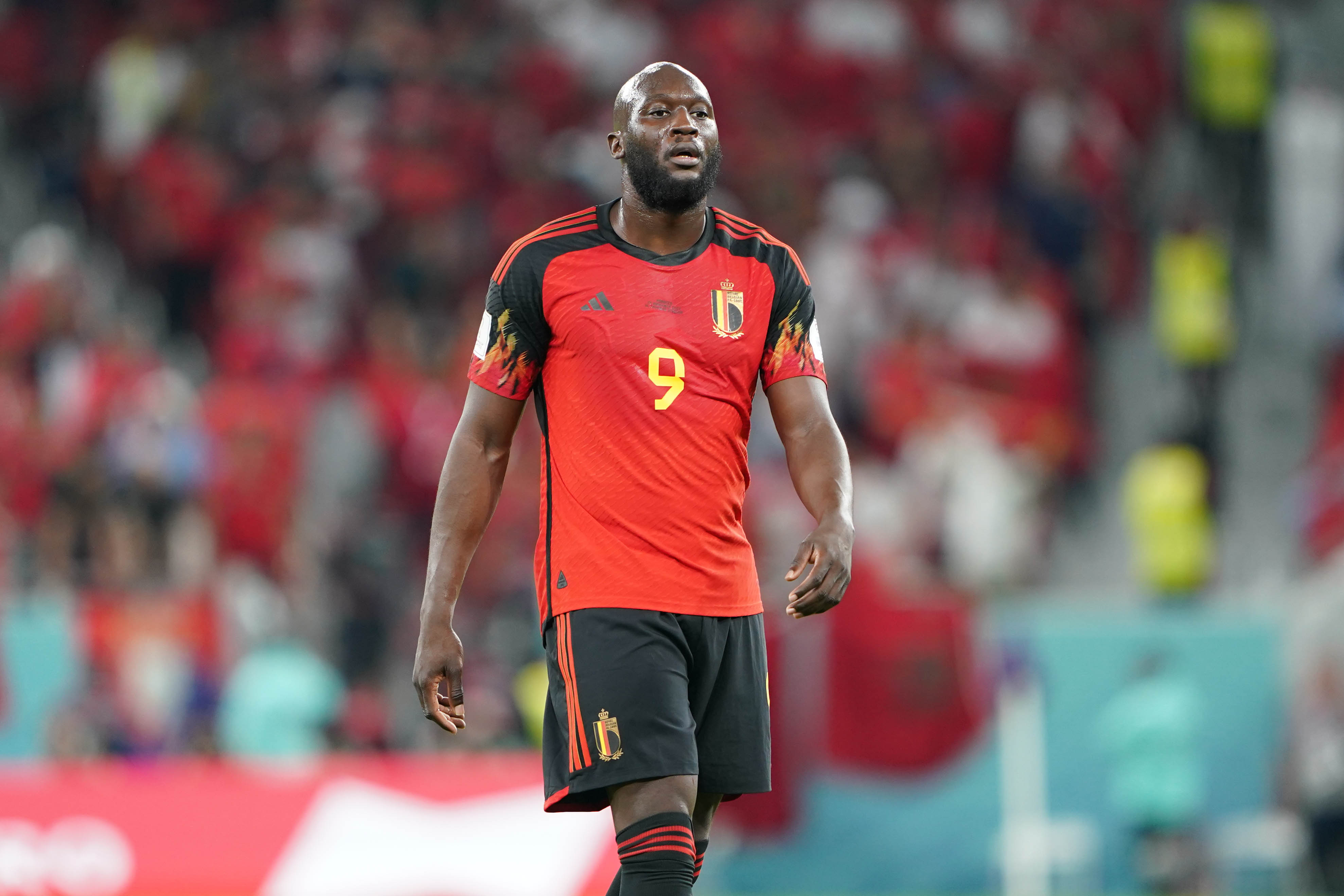 belgium vs morocco