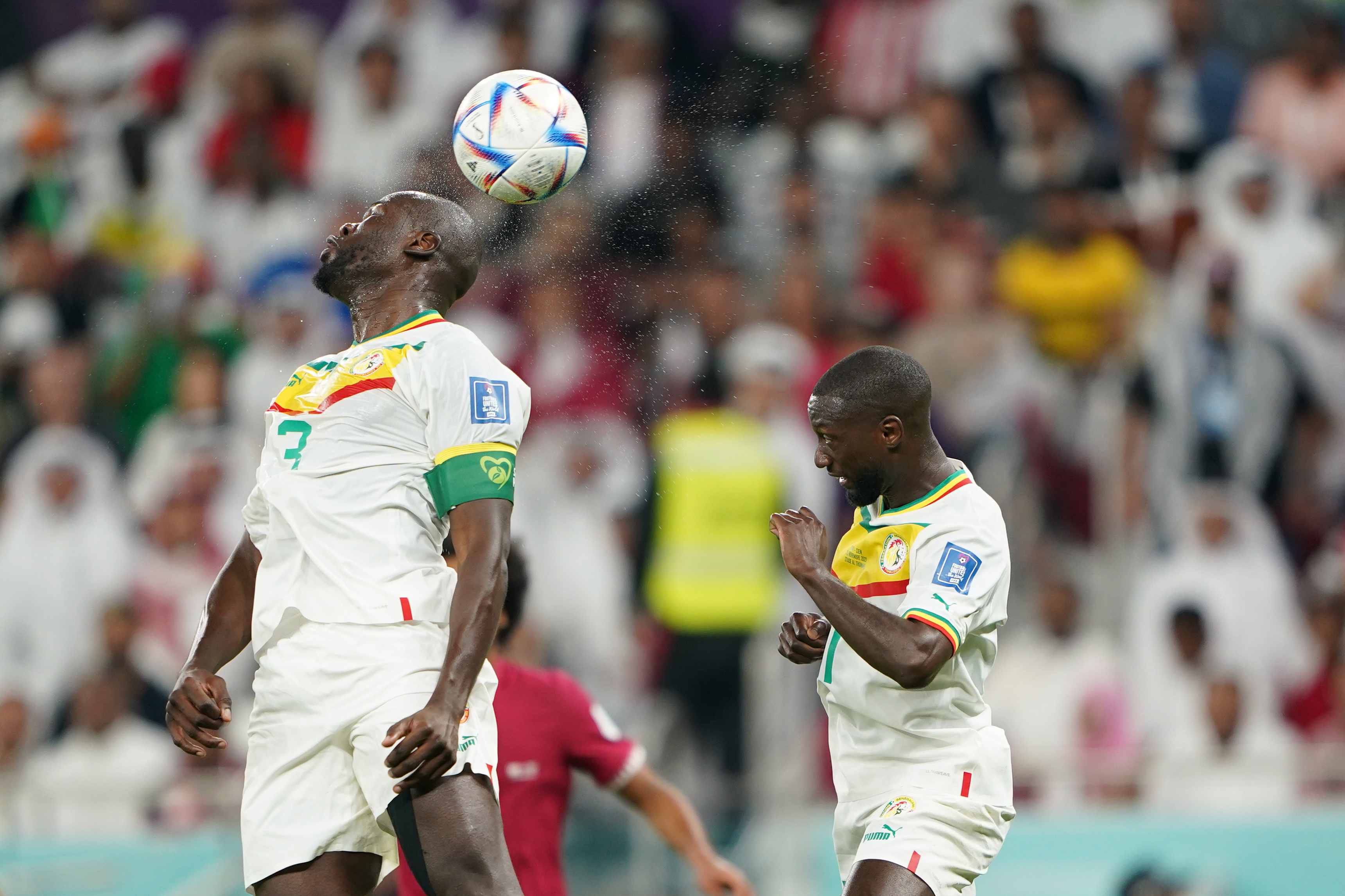 qatar senegal