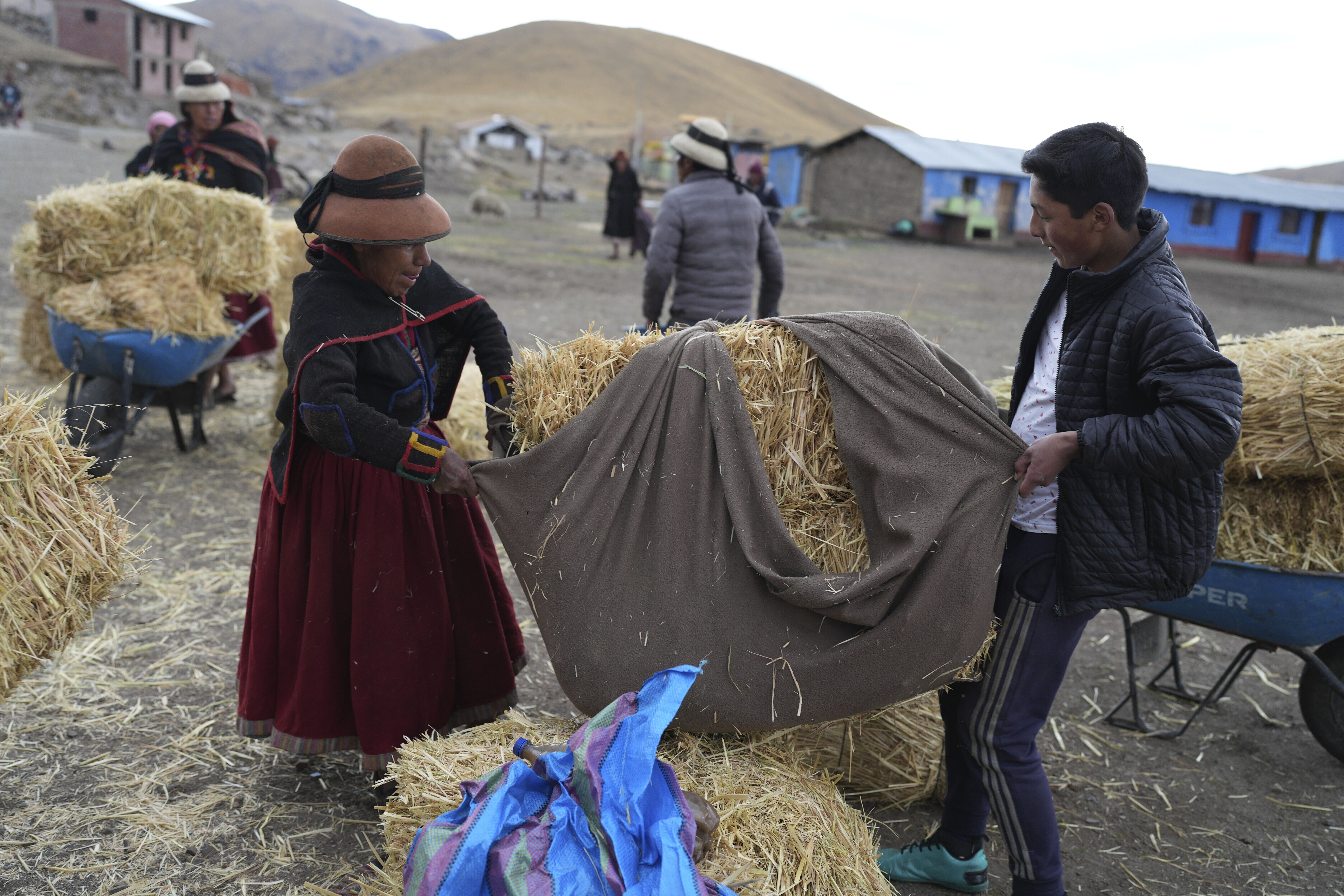 Residents carry fodder