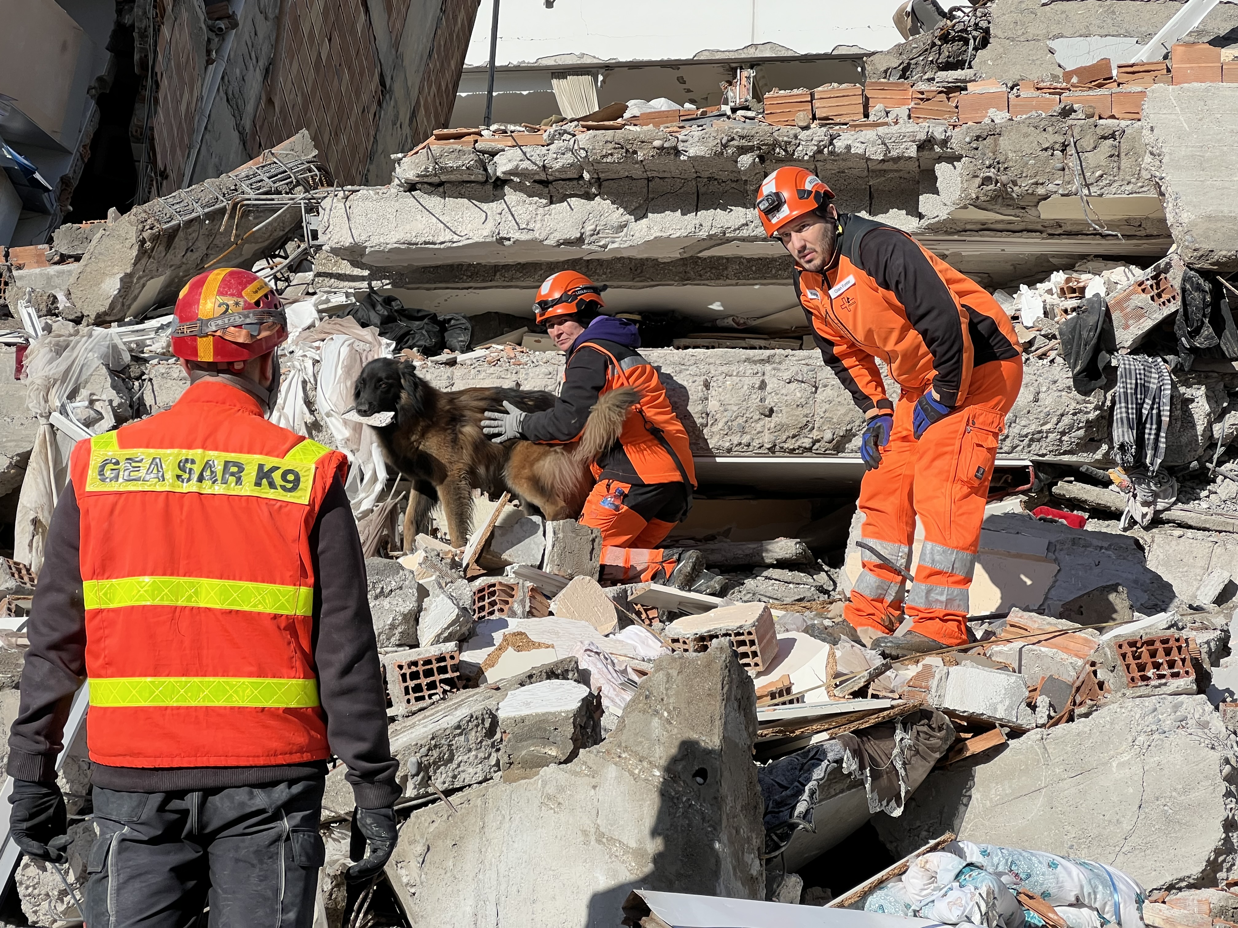 Courtesy of Matthias Gerber of Redog Switzerland. K9 team in Iskenderun, Turkey