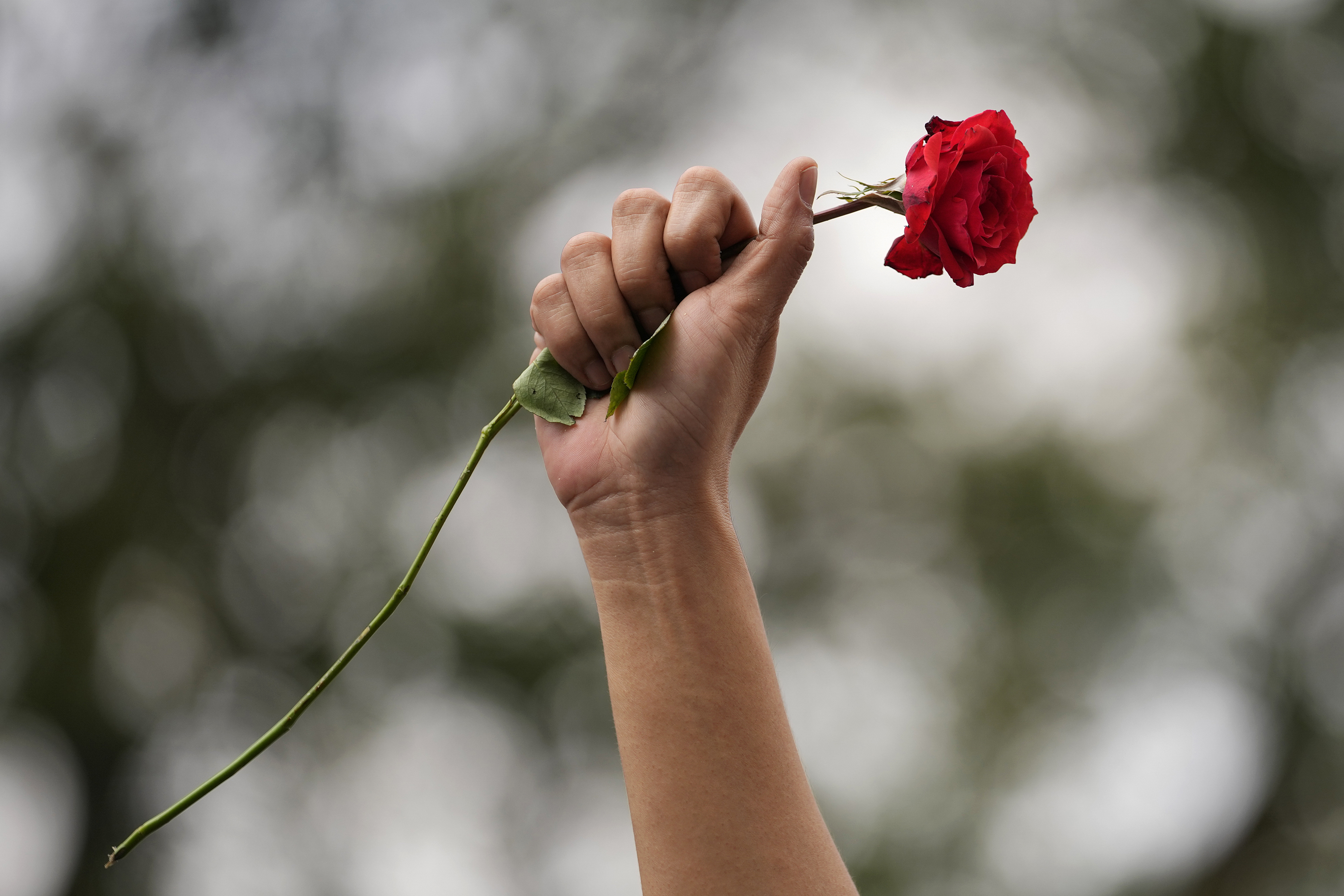 Women's Day events highlight gaps in gender equality