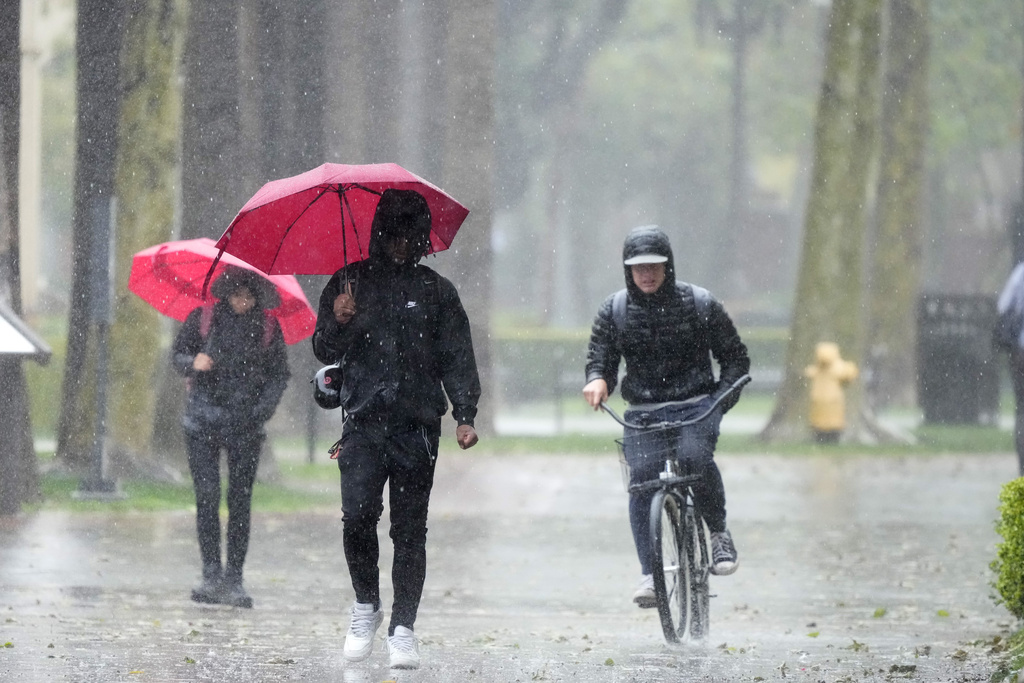 People walking in the rain
