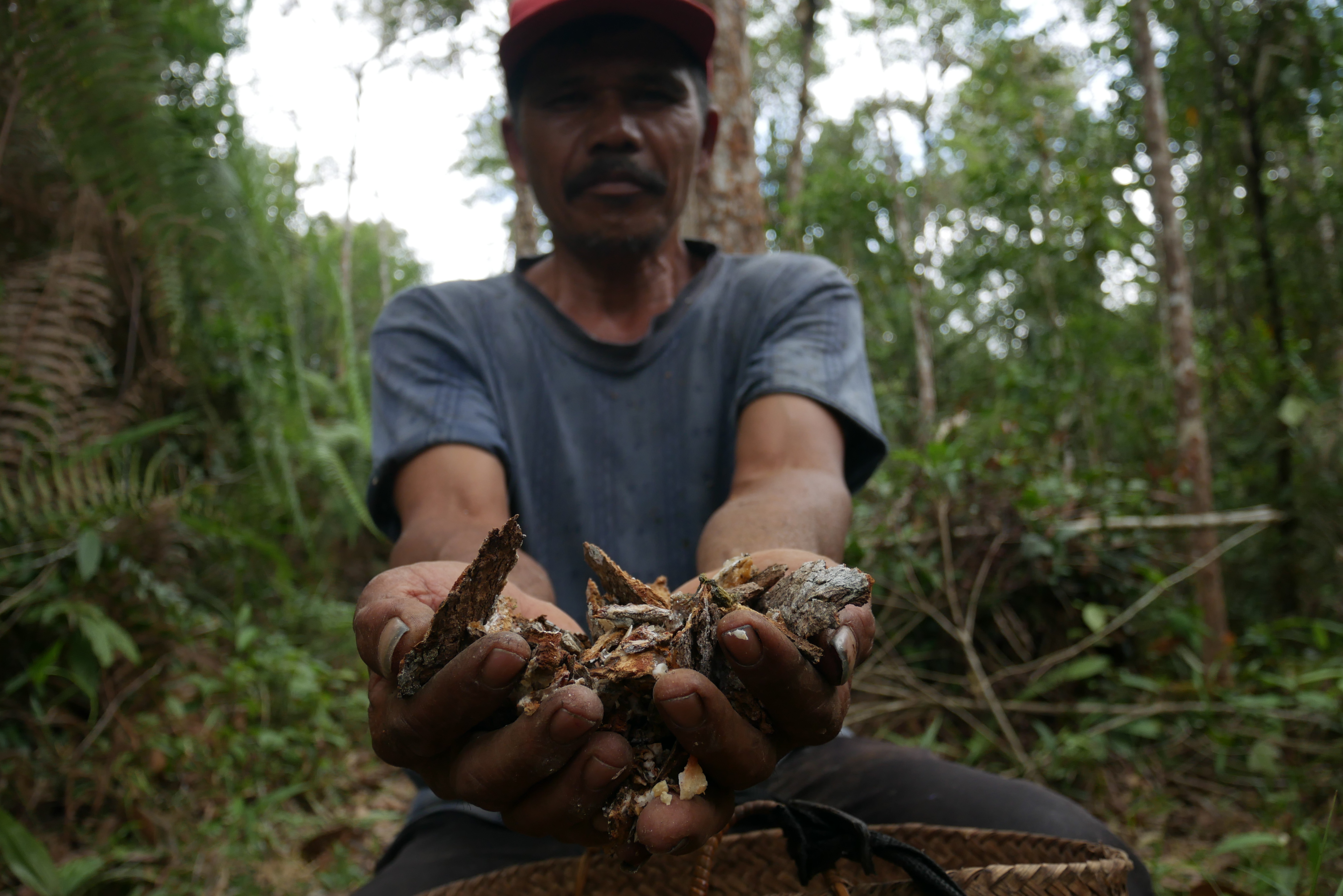 indonesia