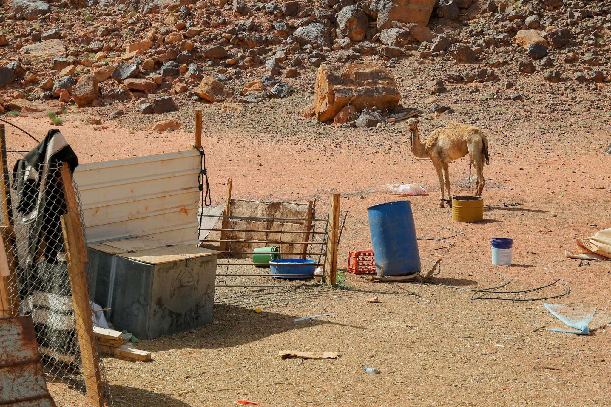 Wadi Rum, Jordan