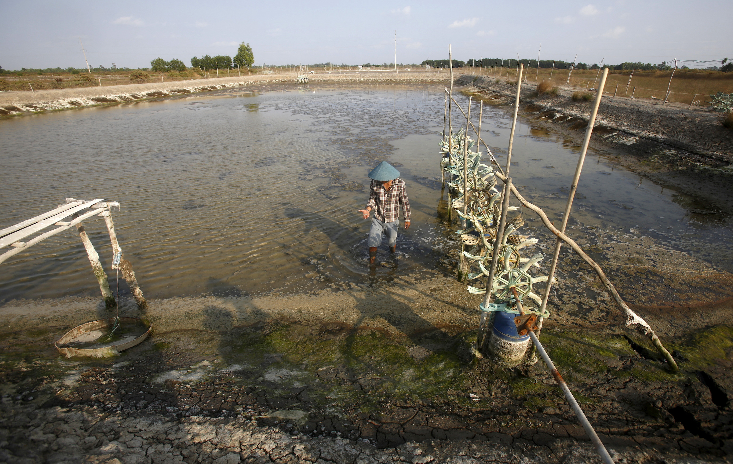 A farmer shows dead fish and dead shrimp on his drought shrimp farm in Mekong delta's Bac Lieu province, Vietnam