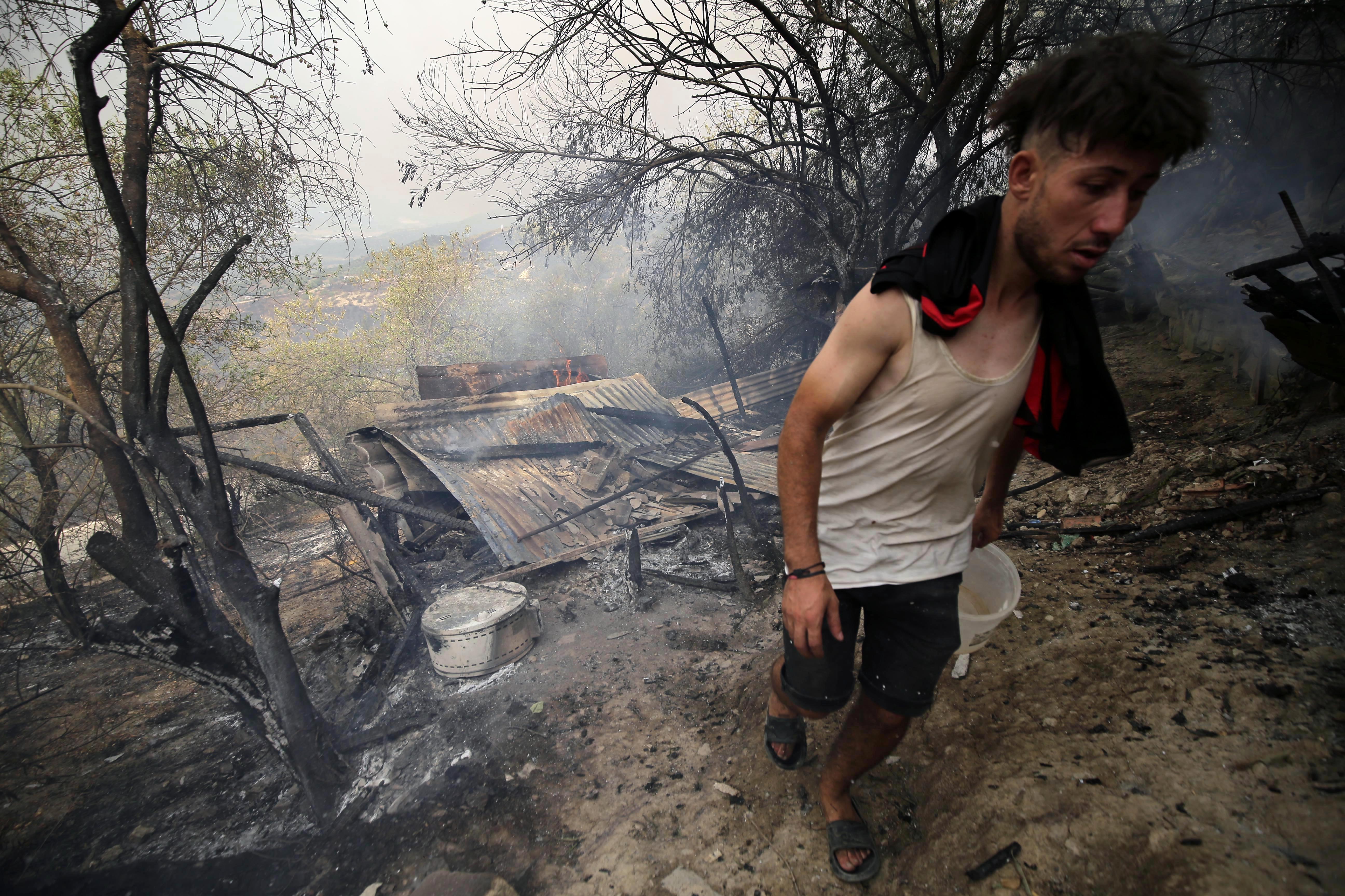 Algeria wildfires
