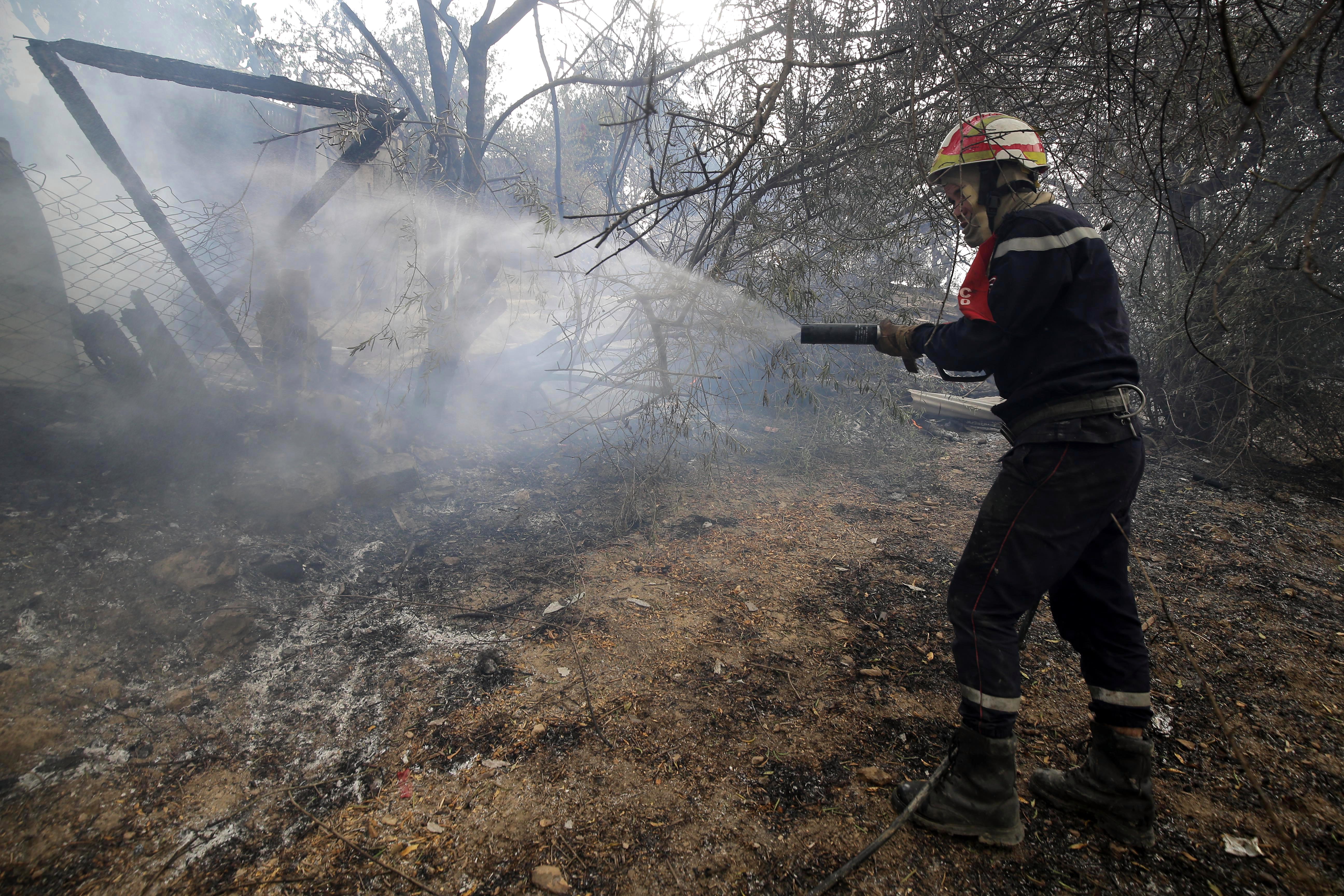 Algeria wildfires