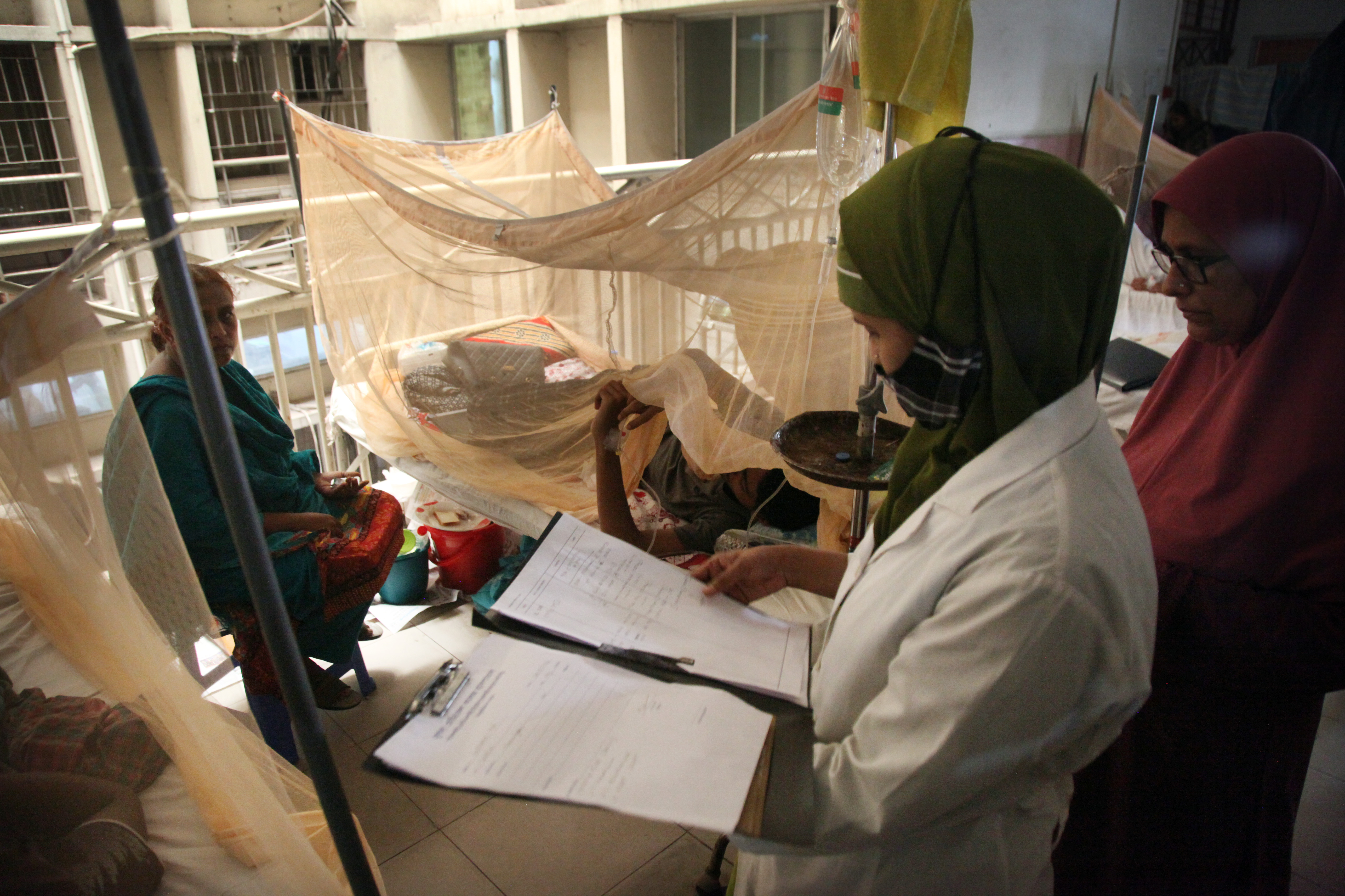 Dengue Bangladesh
