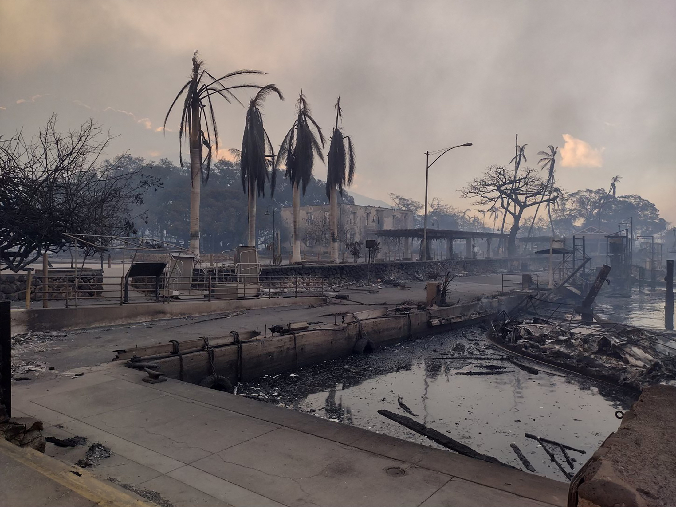 Maui fires