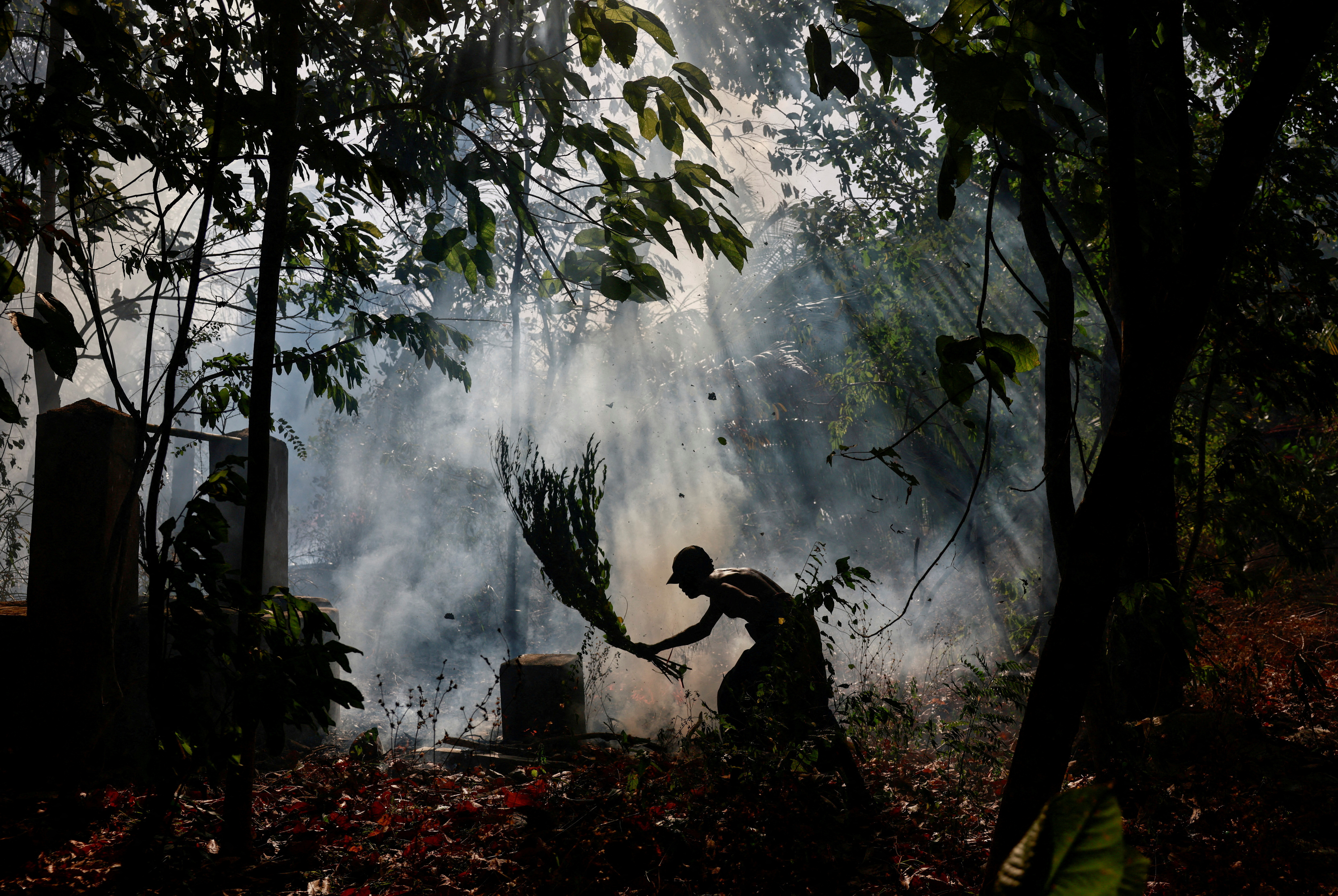 Drought dents Sri Lanka's economic hopes, farmers' livelihood