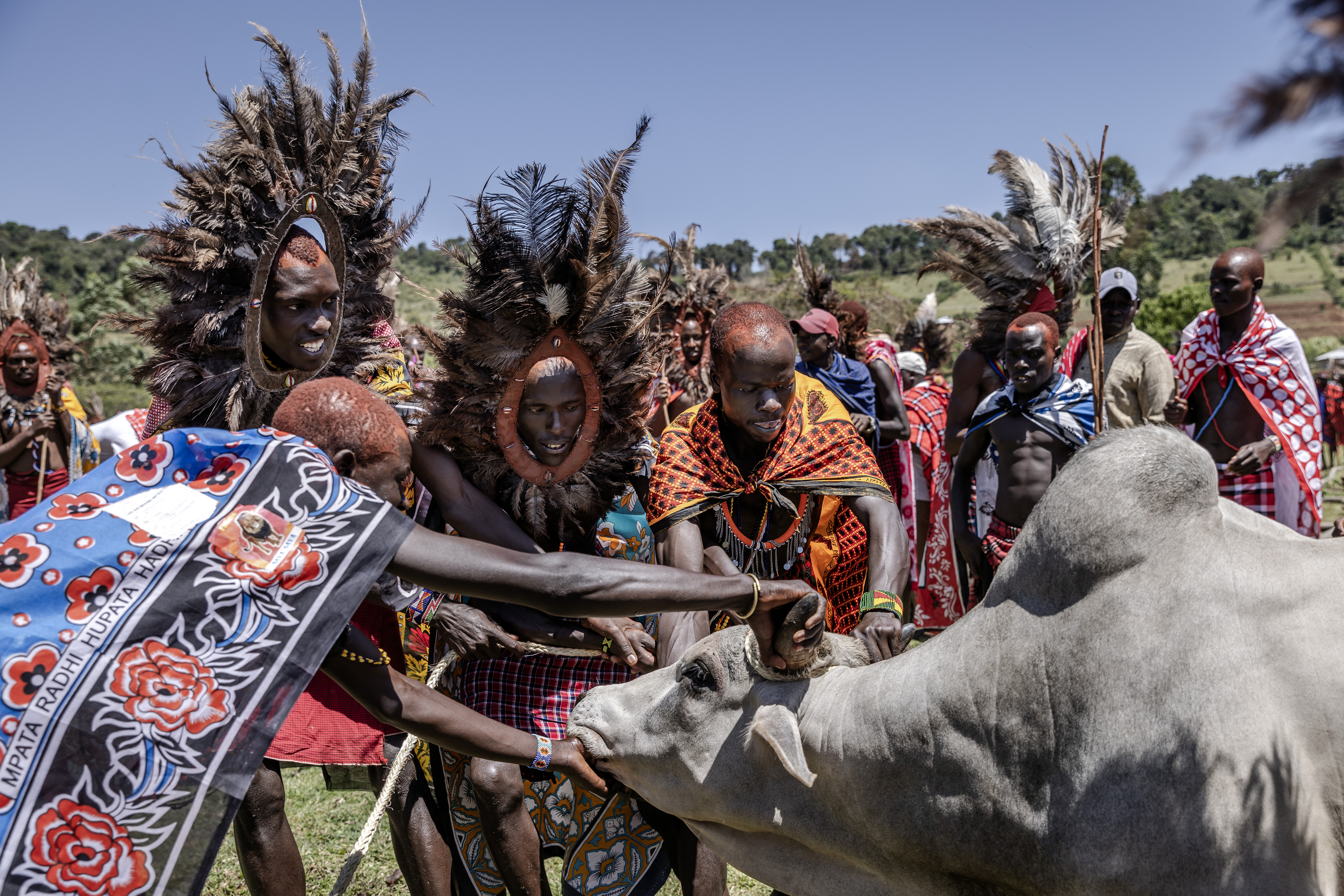 Young Maasai