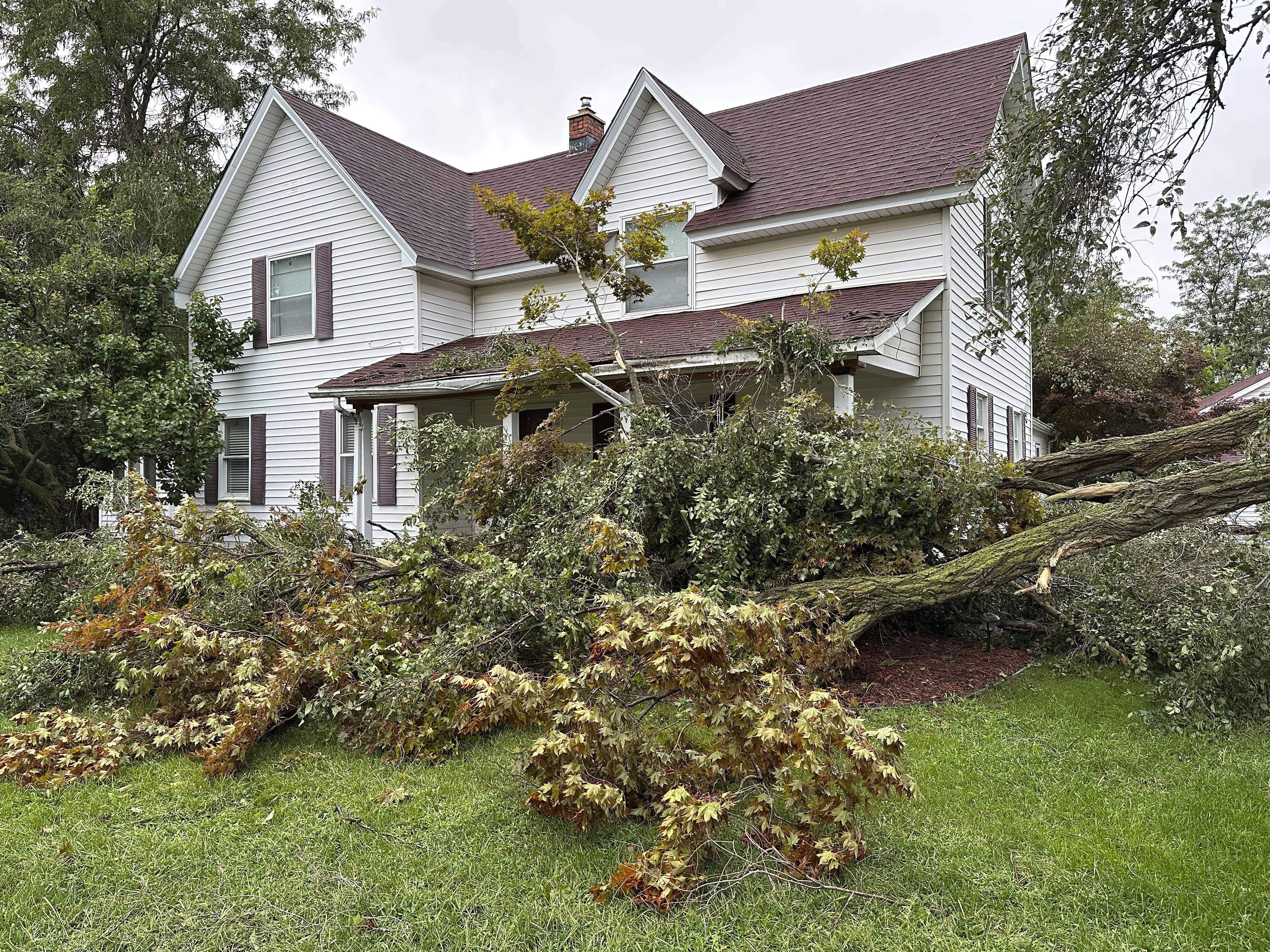 Trees were uprooted during a violent summer storm on August 25 in Canton Township, Michigan